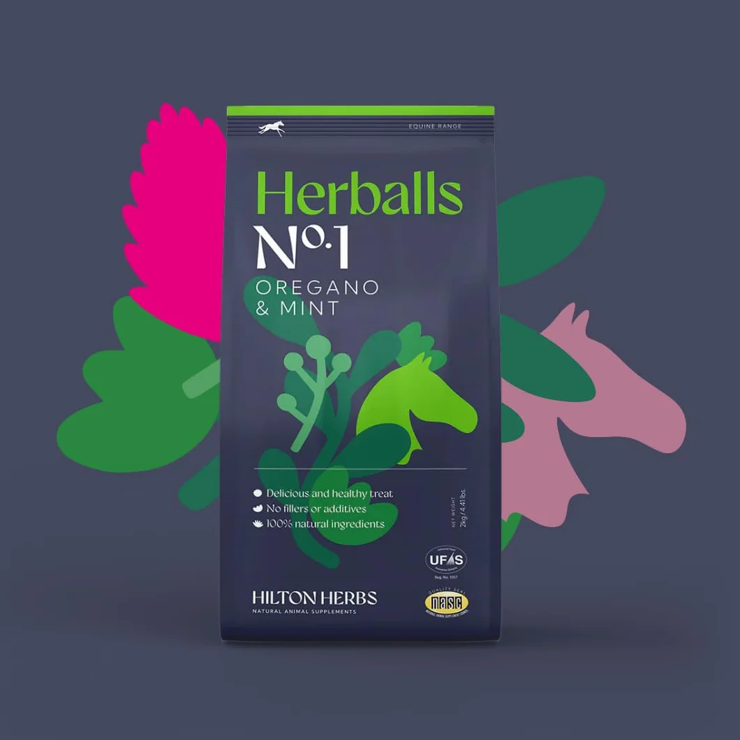 Hilton Herbs Herballs 500 g