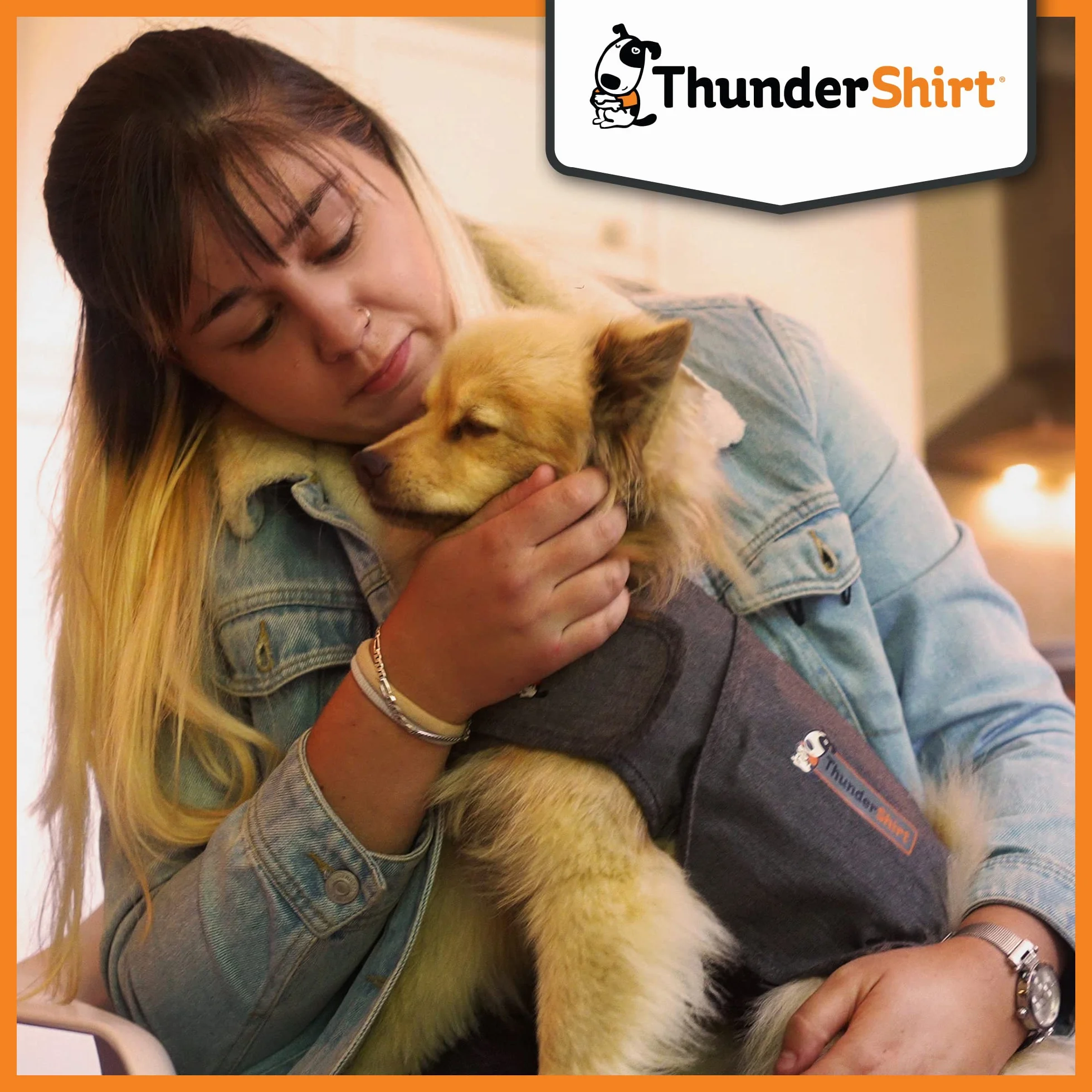 ThunderShirt Gilet Relaxant pour Chiens Gris 5 Tailles