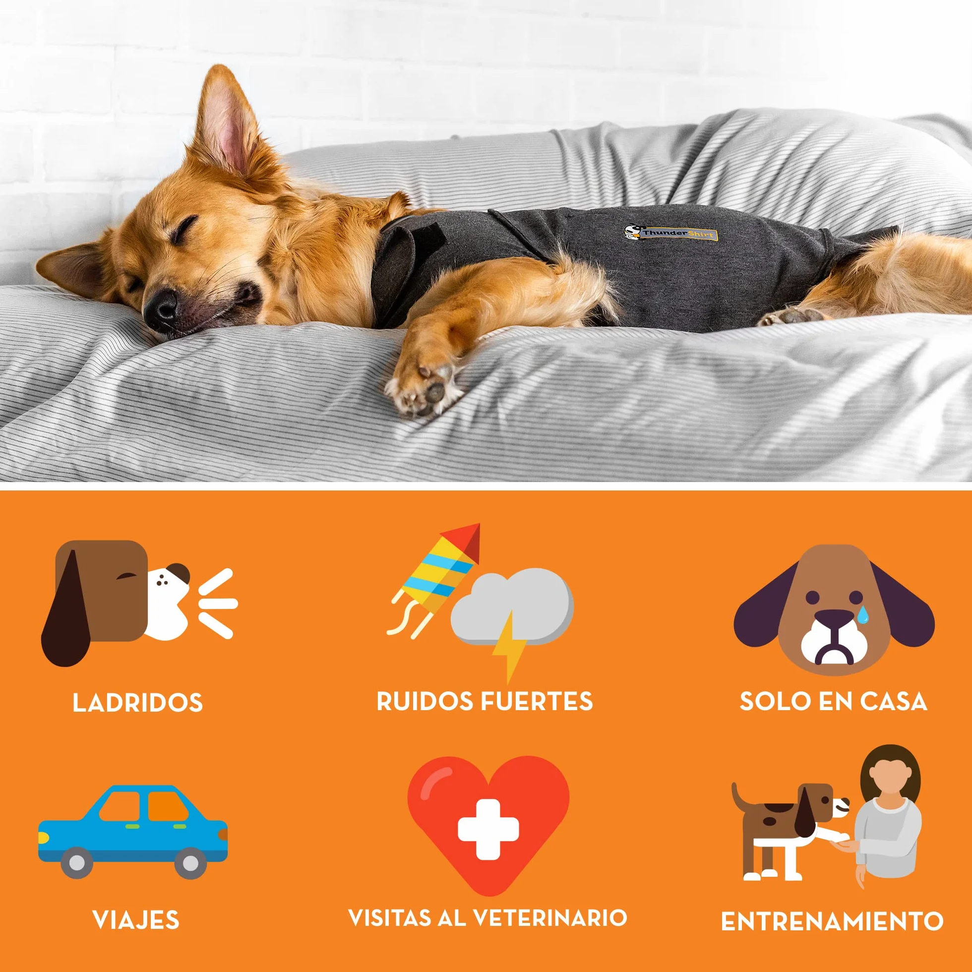 ThunderShirt Gilet Relaxant pour Chiens Gris 5 Tailles