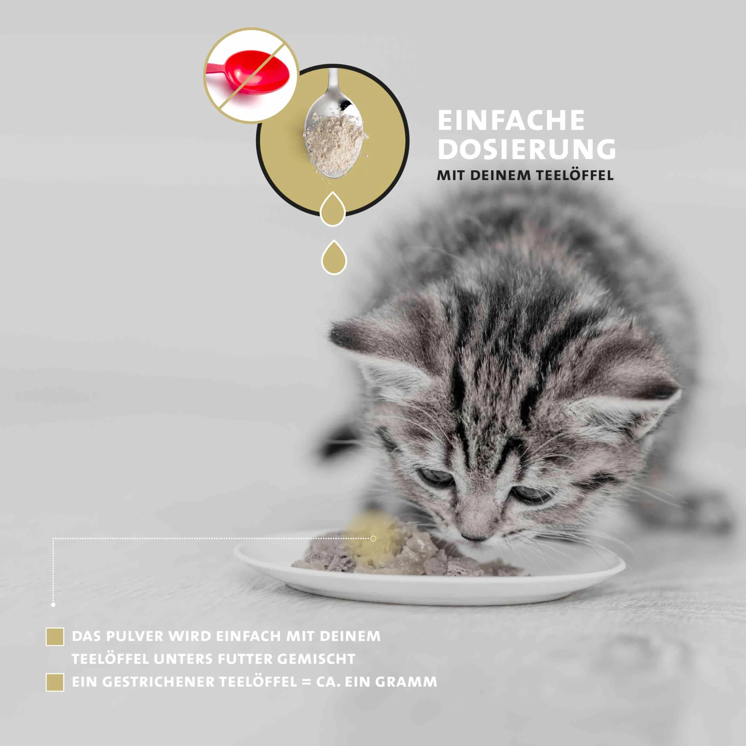 Peticare articulations arthrose Poudre pour Chats MSM collagène complément Alimentaire Naturel