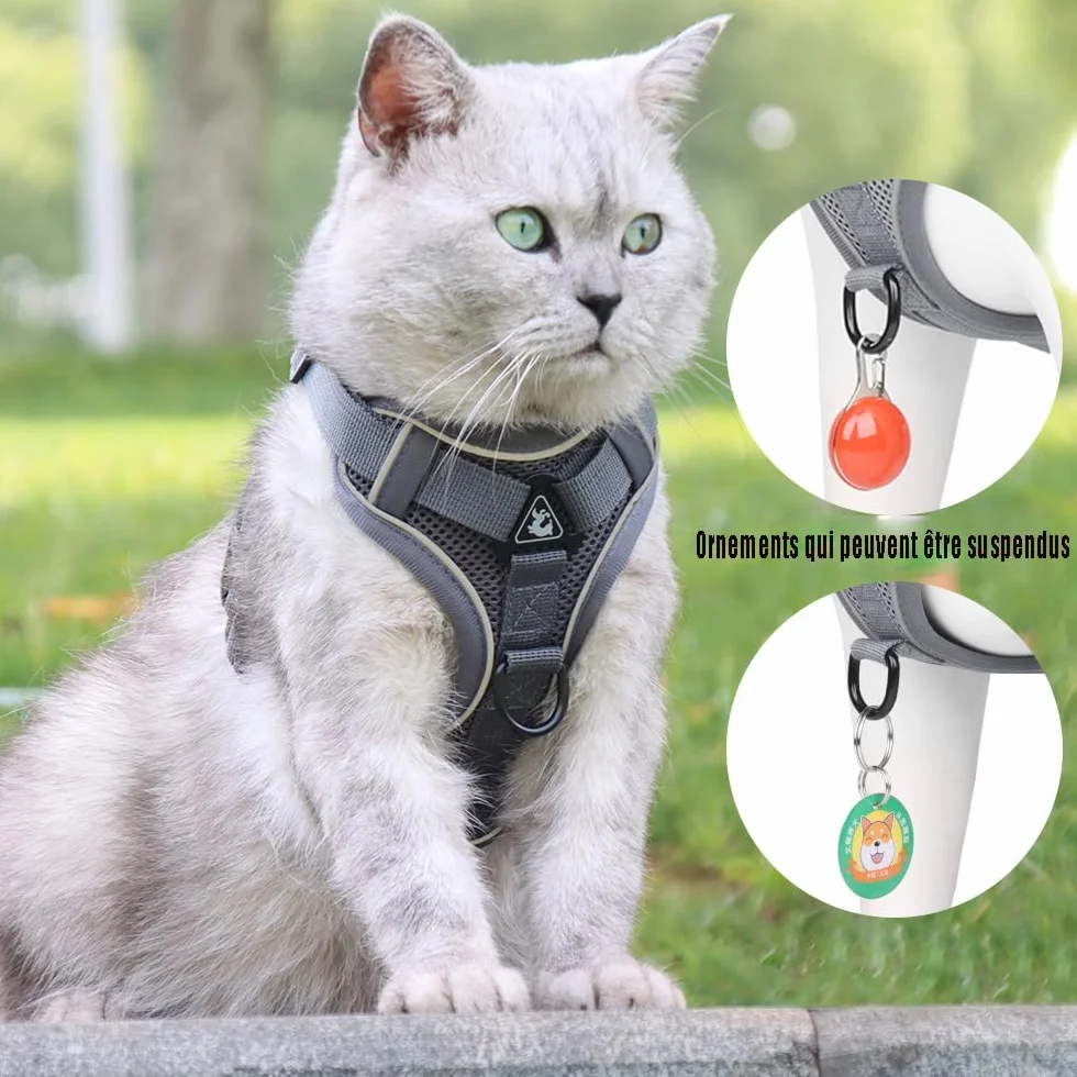 Harnet Harnais Réglable pour Chaton Chiot avec Bandes Réfléchissantes Laisse 3m