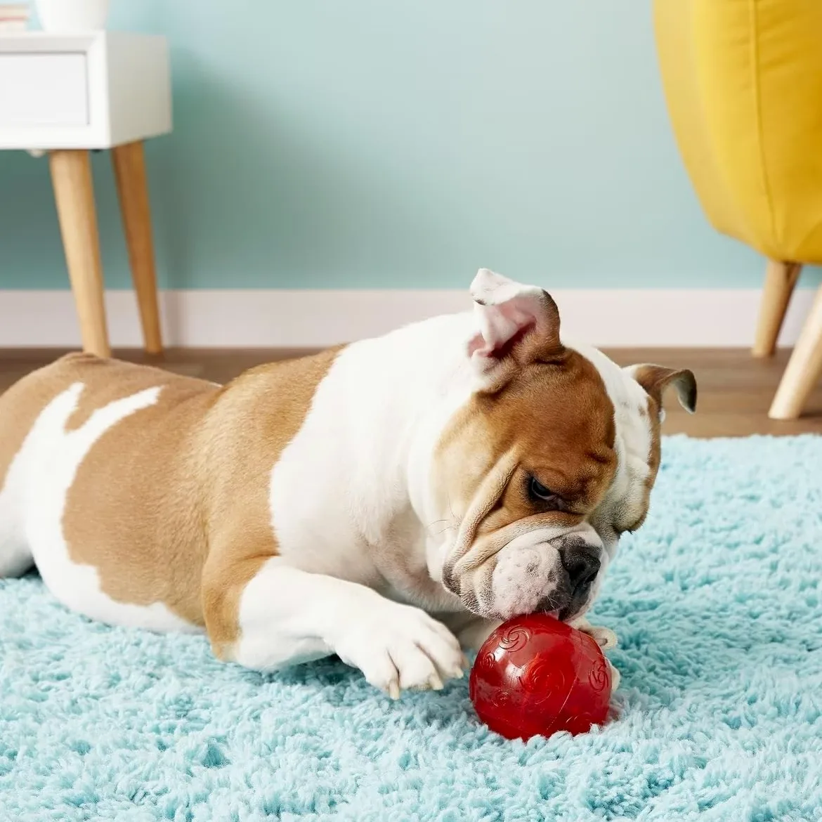 Kong Squeezz Ball Lot de 3 balles pour Chien Assortiment de Taille Moyenne 6,3 cm de diamètre