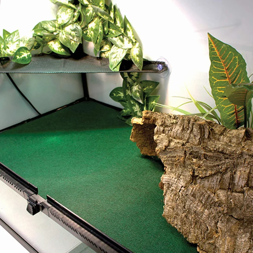 Komodo Reptile Tapis