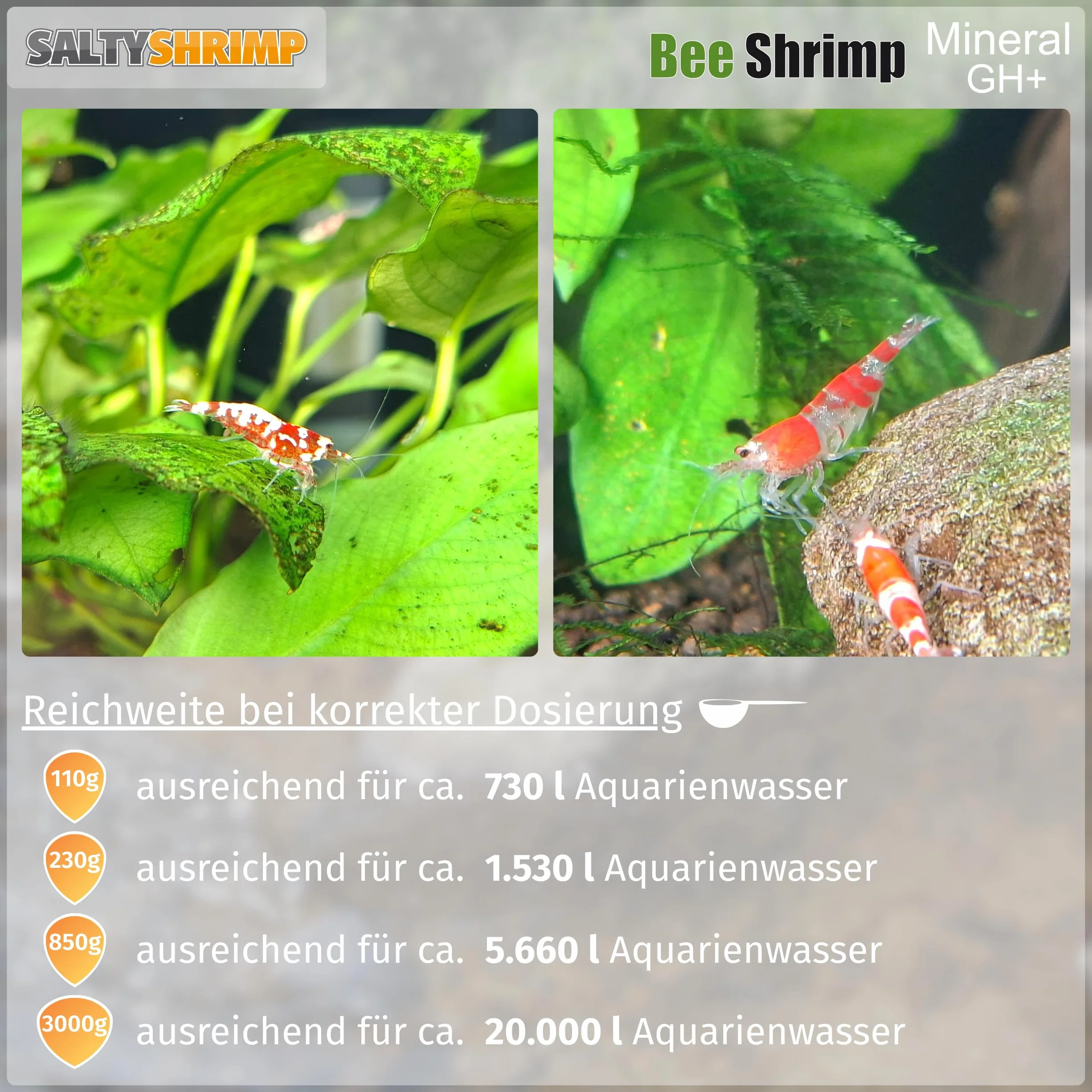 Bee Shrimp Mineral GH+ 110g Sel minéral pour crevettes Abeilles bourdons Tigres augmentation dureté eau