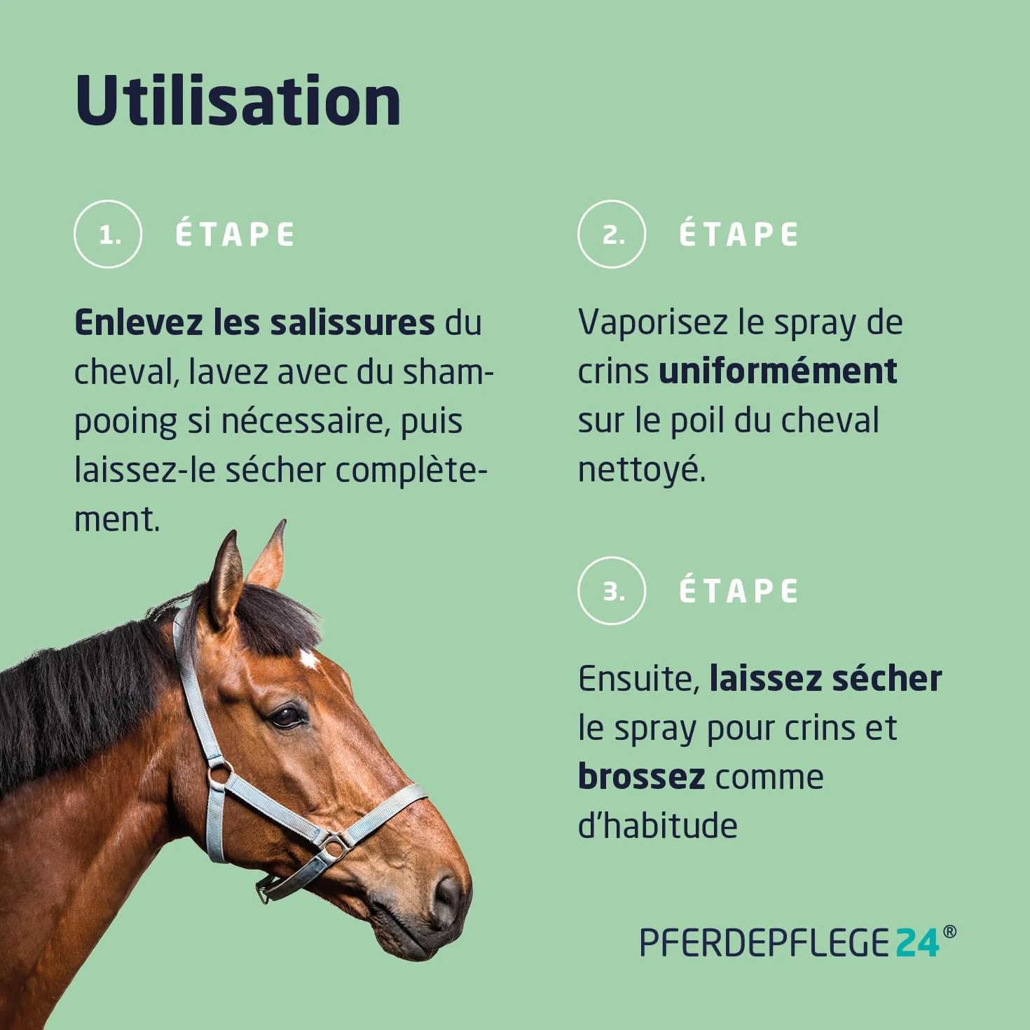 Spray de crins pour Chevaux 1l - Brillance éclatante, Démêlage & Pelage sain