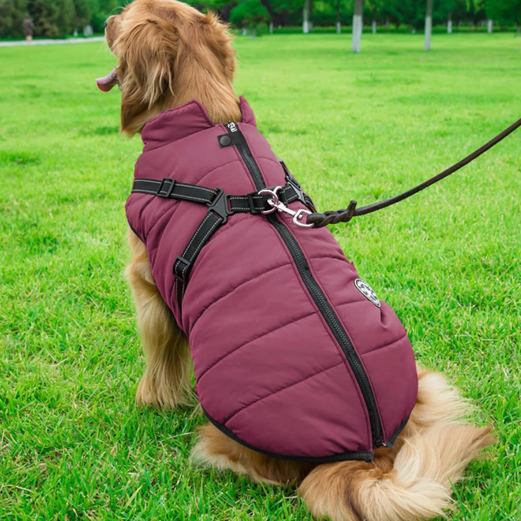 Aiboria Manteau d'hiver pour Chien Coupe-Vent Imperméable 2 en 1 Gilet avec Harnais Veste Chaud Rembourré