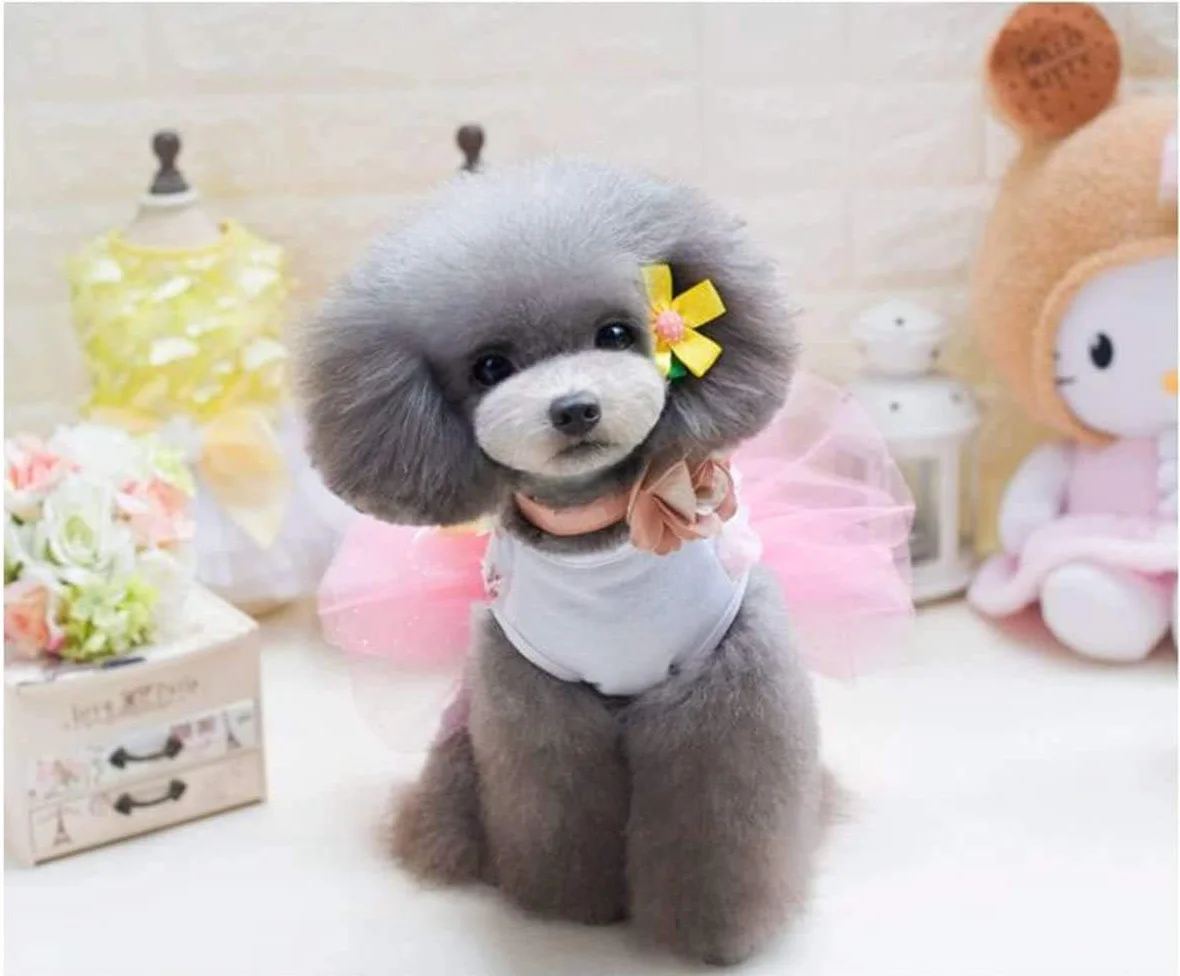 Robes Tutu Princesse Dentelle de Luxe pour Petit Chien Fille Rose