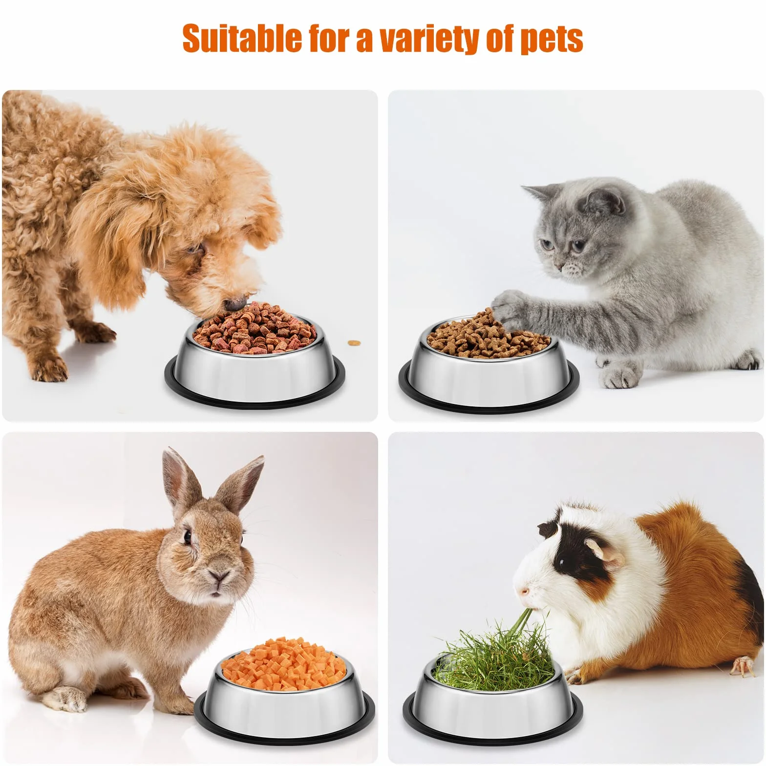Gamelle pour Chat INOX 4 Pièces avec Jouet Bol Eau Chat