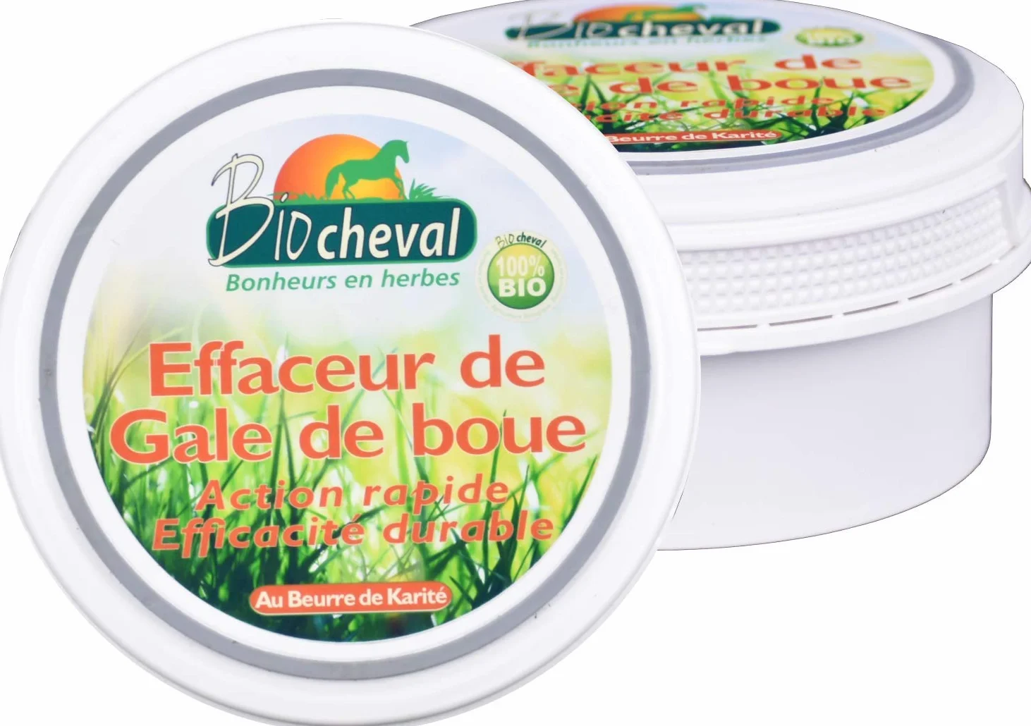 Effaceur de Gale de Boue 200g