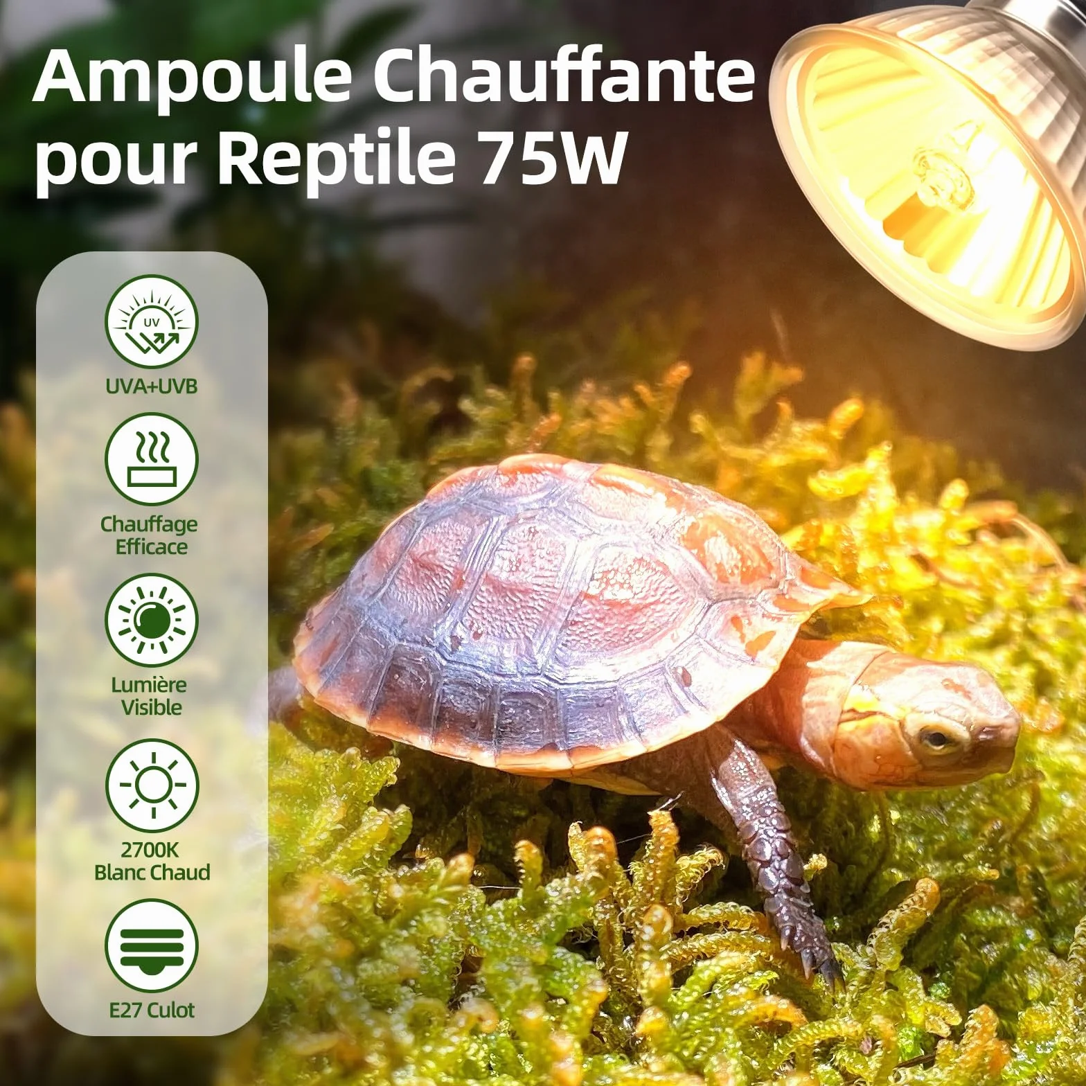 Lampe Chauffante UVA UVB pour Tortue E27 75W Dimmable AC 220V 2700K Lot de 4