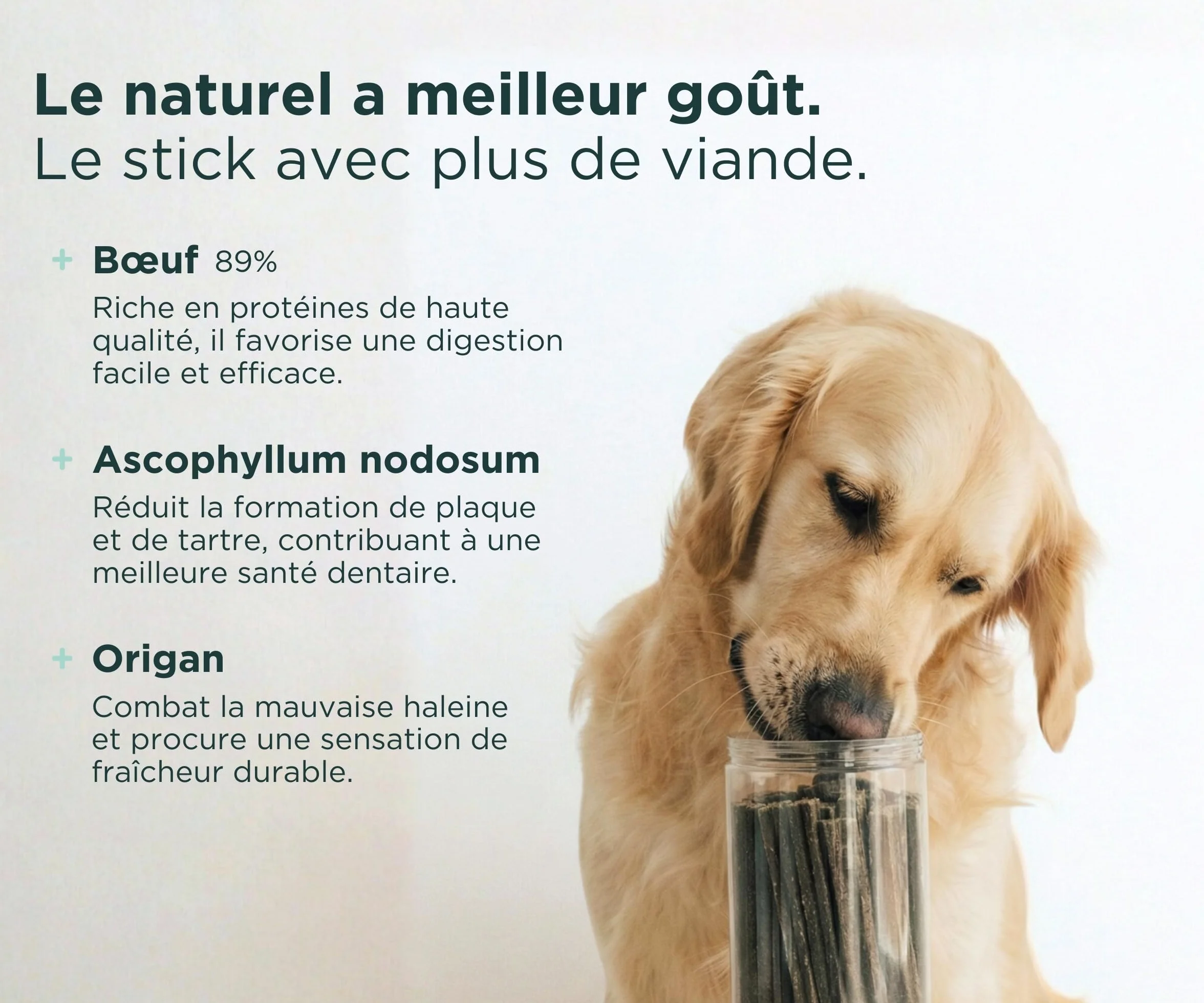 Wolf Belly Stick Dentaire Chien Naturel 28 unités 89% Bœuf Origan sans Céréales Hygiène Bucco-Dentaire Haleine Fraîche Riche en Protéines
