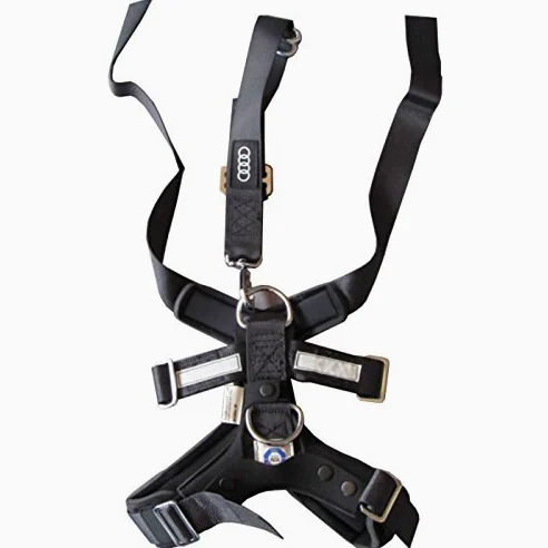 Audi 2256734 Ceinture de Sécurité pour Chien, Taille L