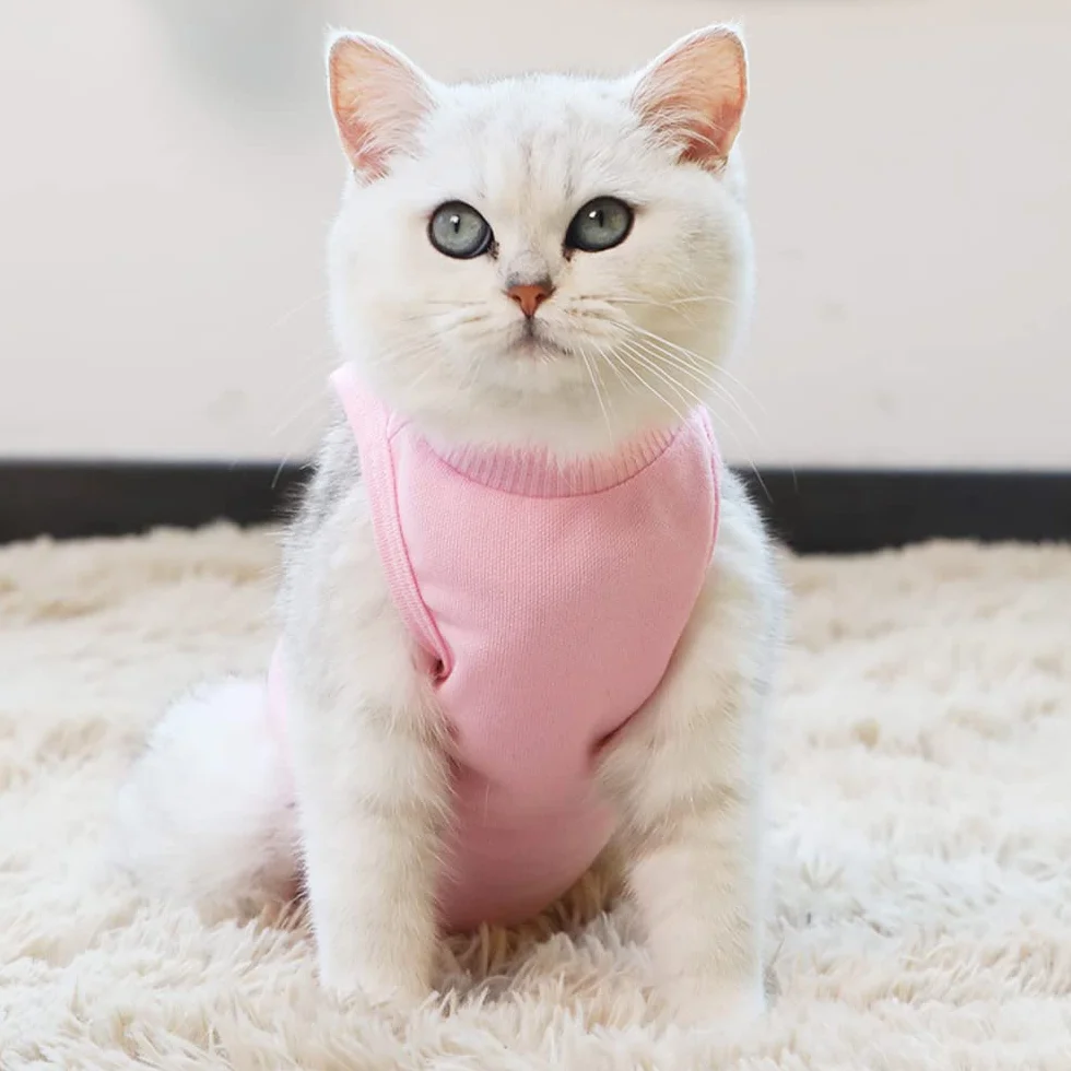 Gilet de Récupération Chat Chien Combinaison Récupération Animaux Plaies Abdominales Rosa M