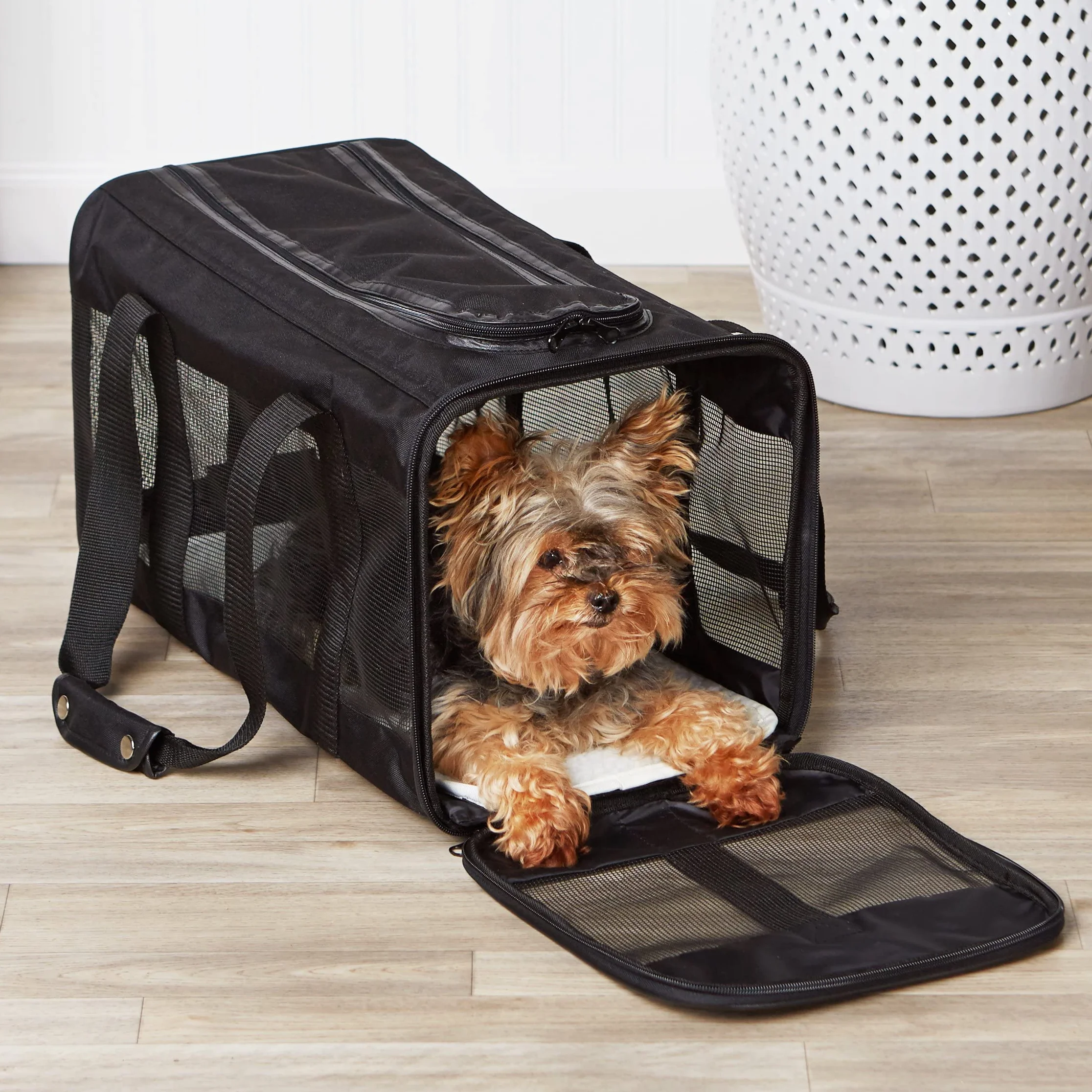 Amazon Basics Sac de transport à parois souples pour Chat, chien, Large, L 50 x W 30.4 x H 30.4 cm, Noir