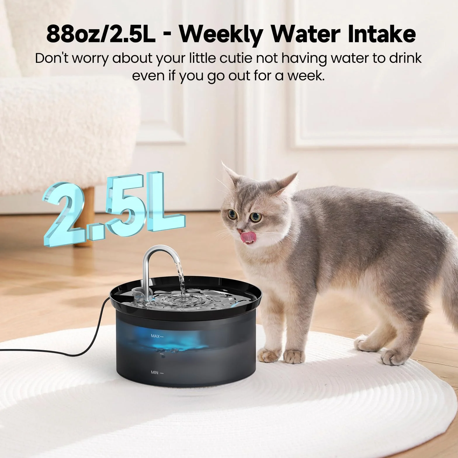 Fontaine à Eau pour Chat 2,5L avec Pompe Silencieuse et Filtre à Carbone Actif