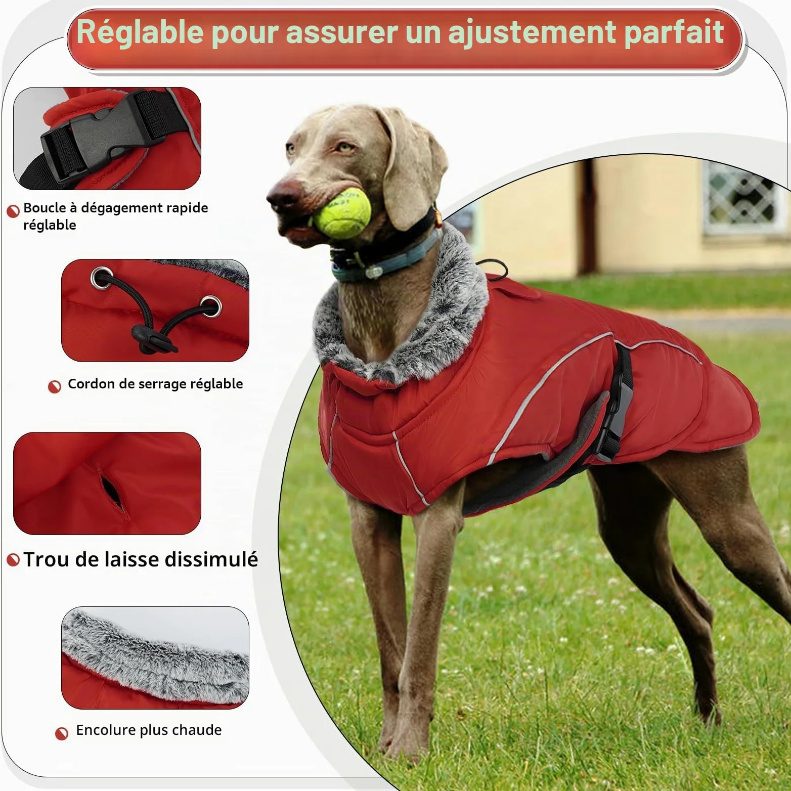 Manteau Polaire Chien, Doudoune Chien Manteau Petite Chien Réfléchissant Peluche avec Col en Fourrure Veste d'hiver Vêtement Confortable pour Petits Moyens Grands Chiens(Rouge, XL)