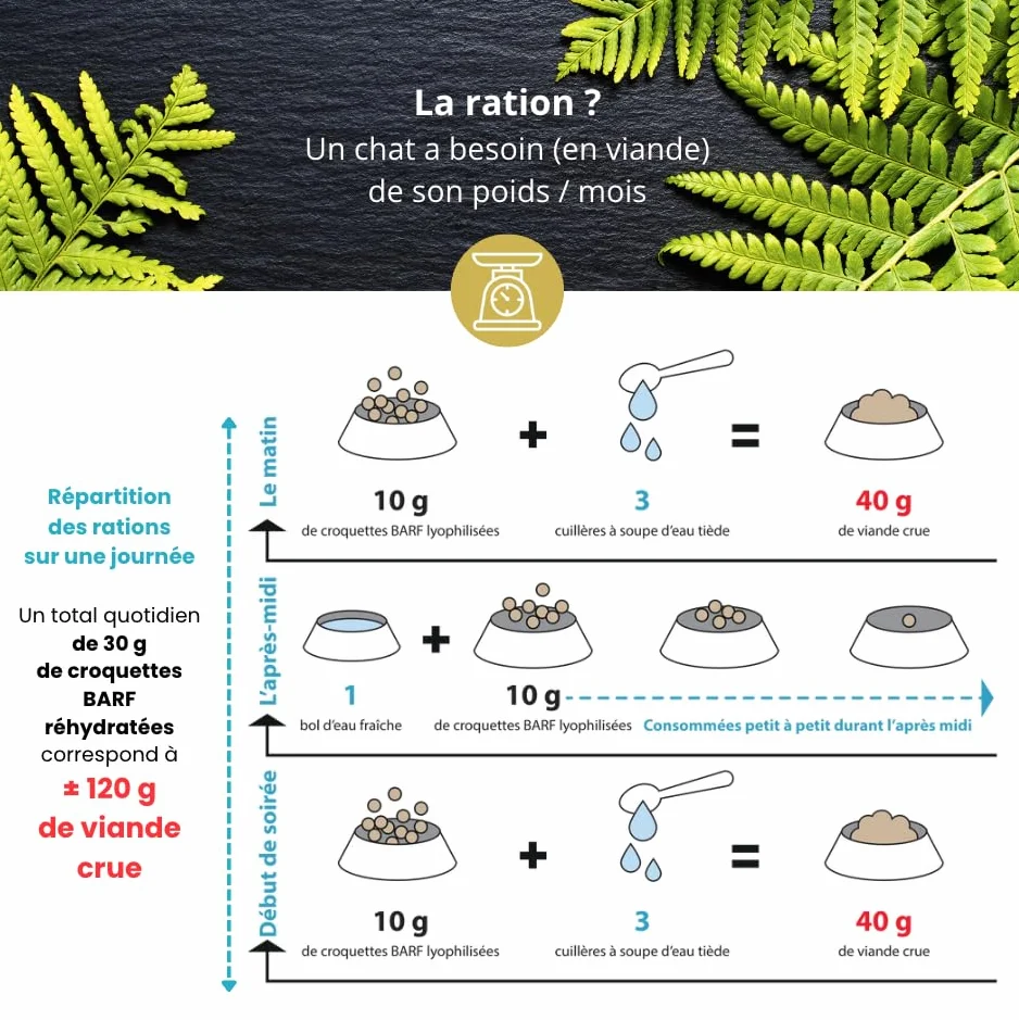 Croquette Barf Cuisse de Poulet hachée Lyophilisée pour Chat