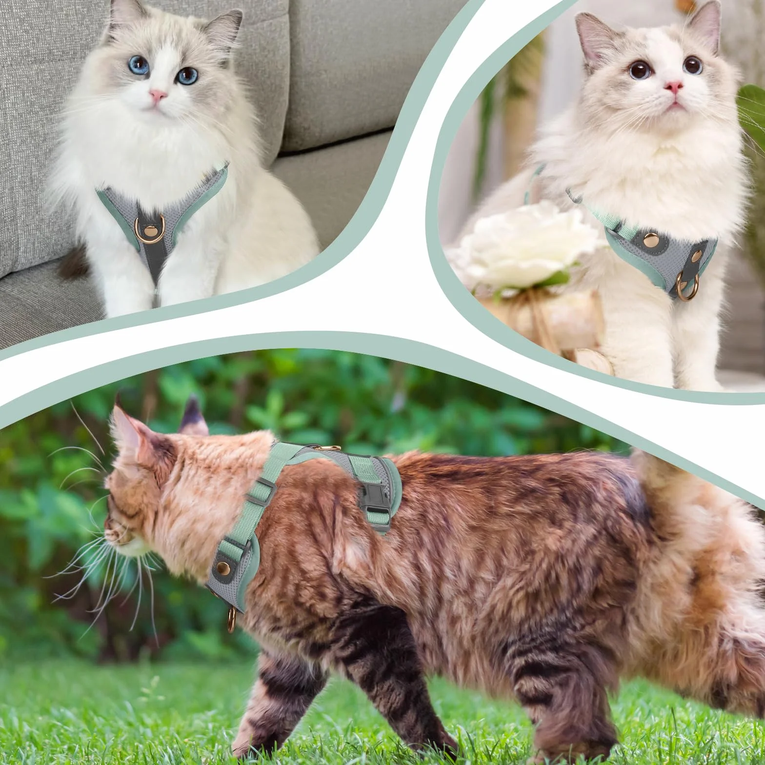 Harnais Anti-Fuite pour Chat avec Laisse, Bordure en Cuir Microfibre, Réfléchissant Réglable Respirant