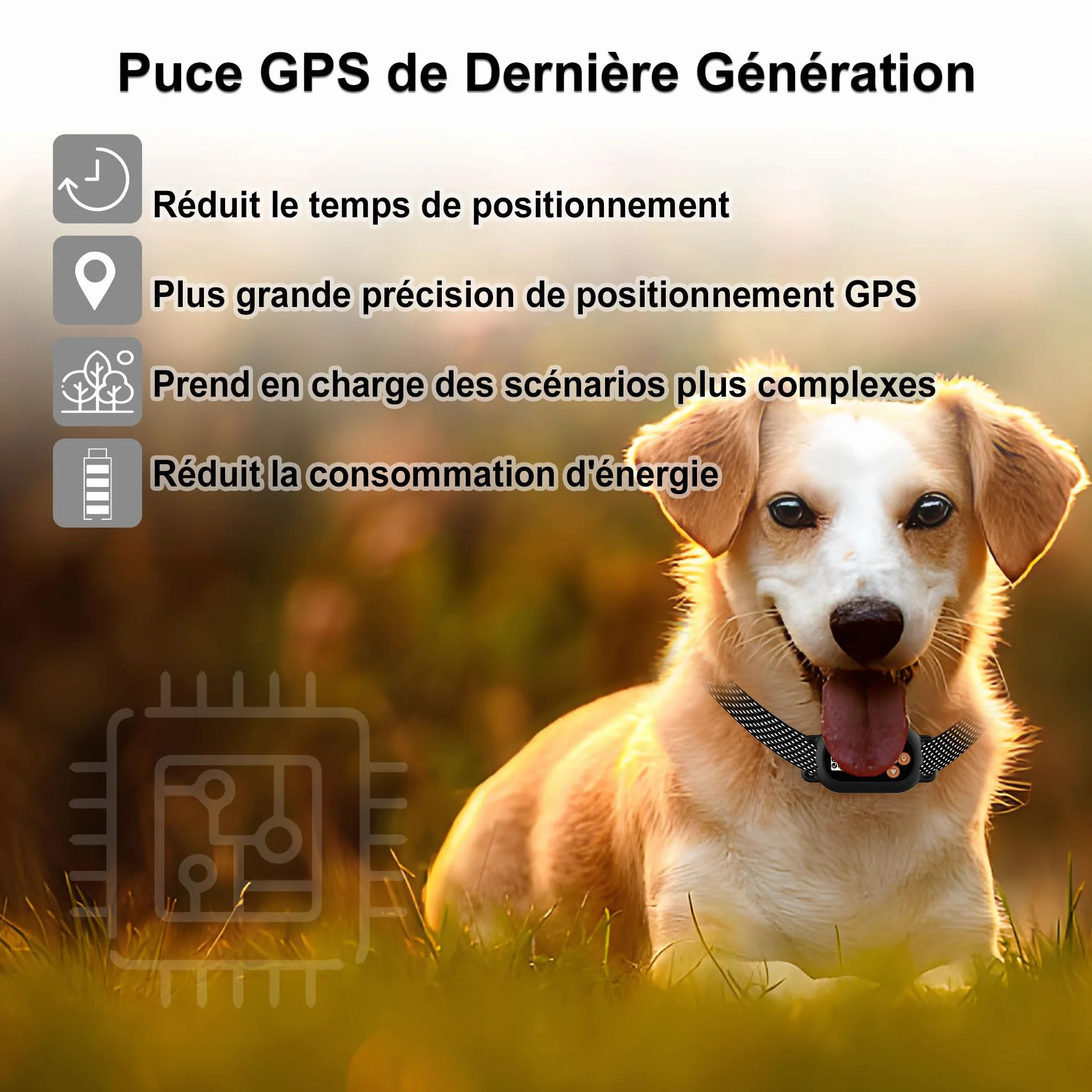 Collier Anti Fugue Chien sans Fil GPS IPX7 Étanche 3 Modes Clôture Anti-Fugue Rayon 22-999M