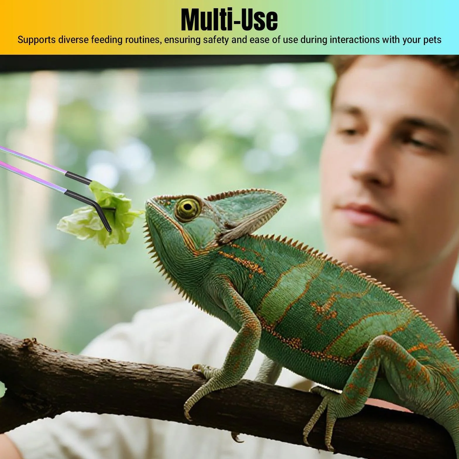 Pince à épiler longue droite incurvée antidérapante silicone pour serpent lézard reptile tarentule grenouille insecte