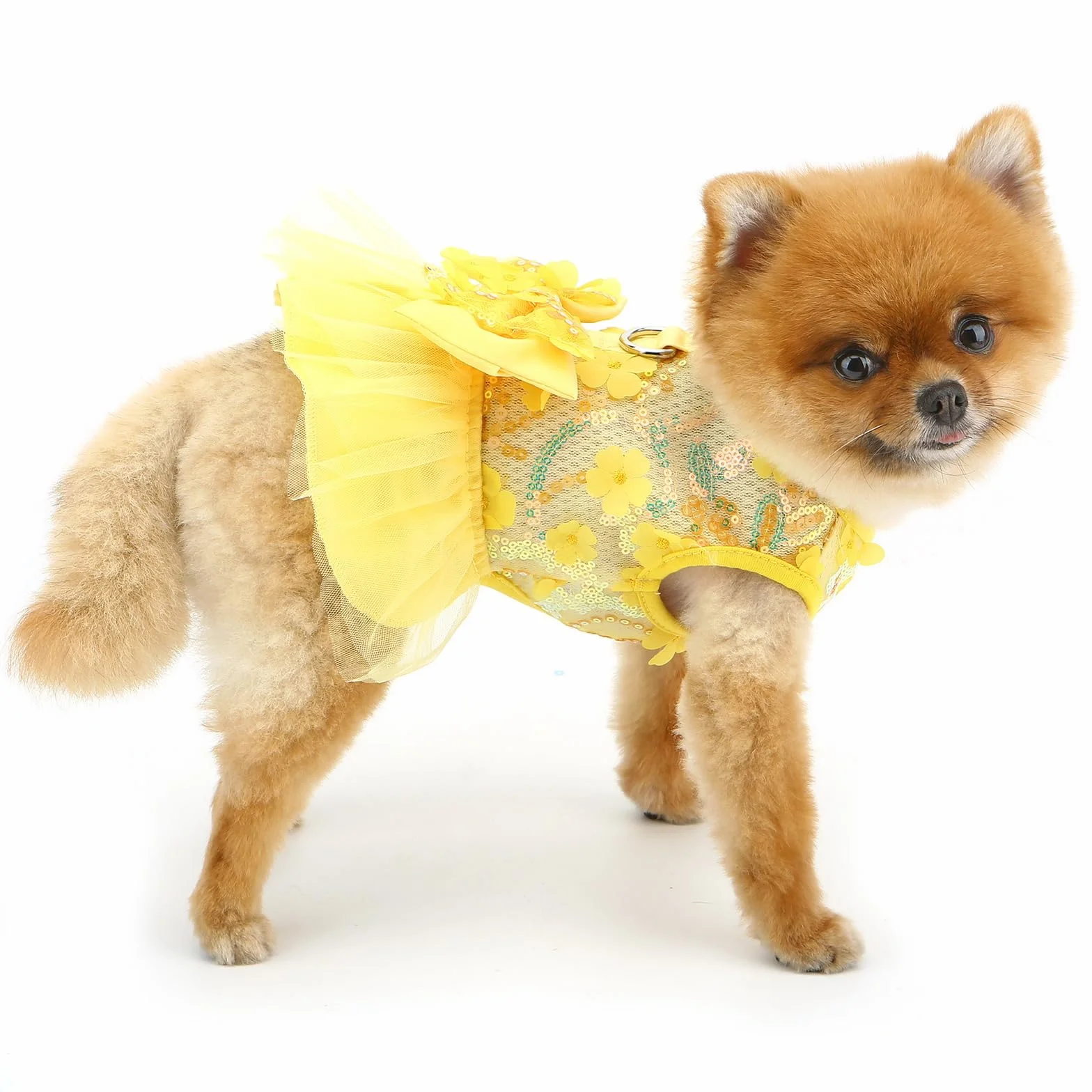 Robe tutu princesse avec nœud jupe maille paillettes chihuahua taille XL jaune