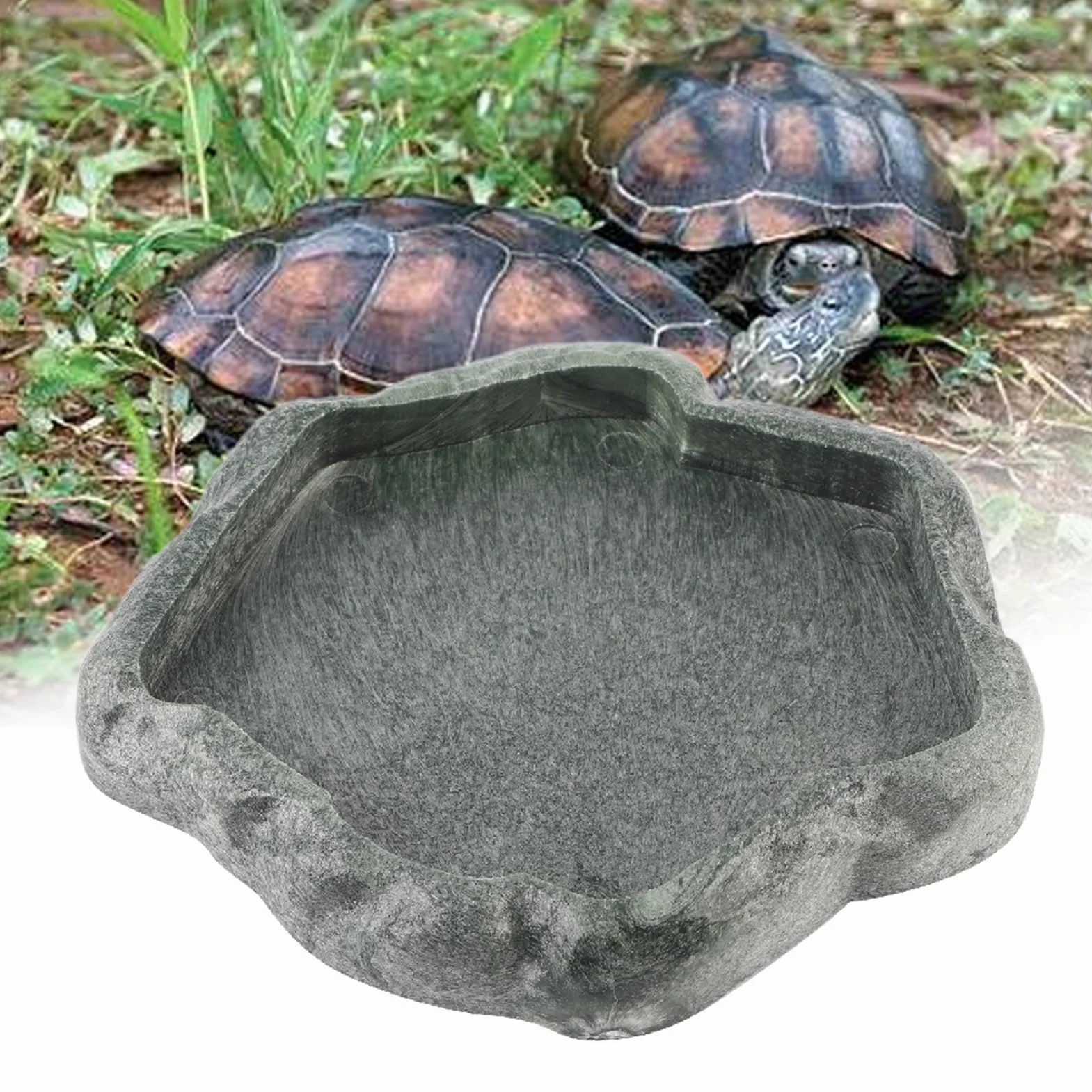 Bol d'eau et de nourriture pour Reptiles en Résine ABS Durable Noir S