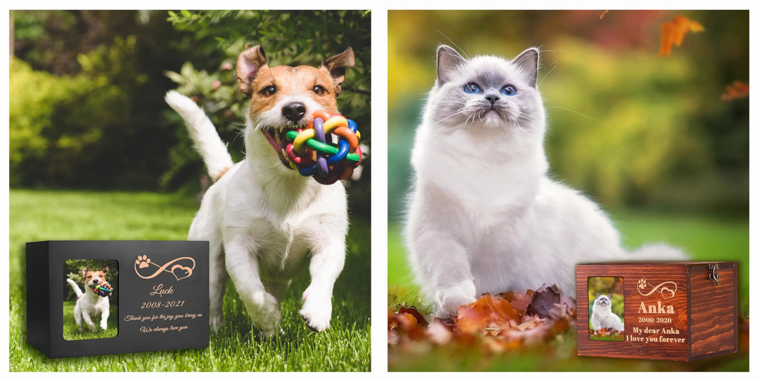 Urne Personnalisée pour Chien et Chat en Bois avec Gravure, Fente Photo, Date et Texte
