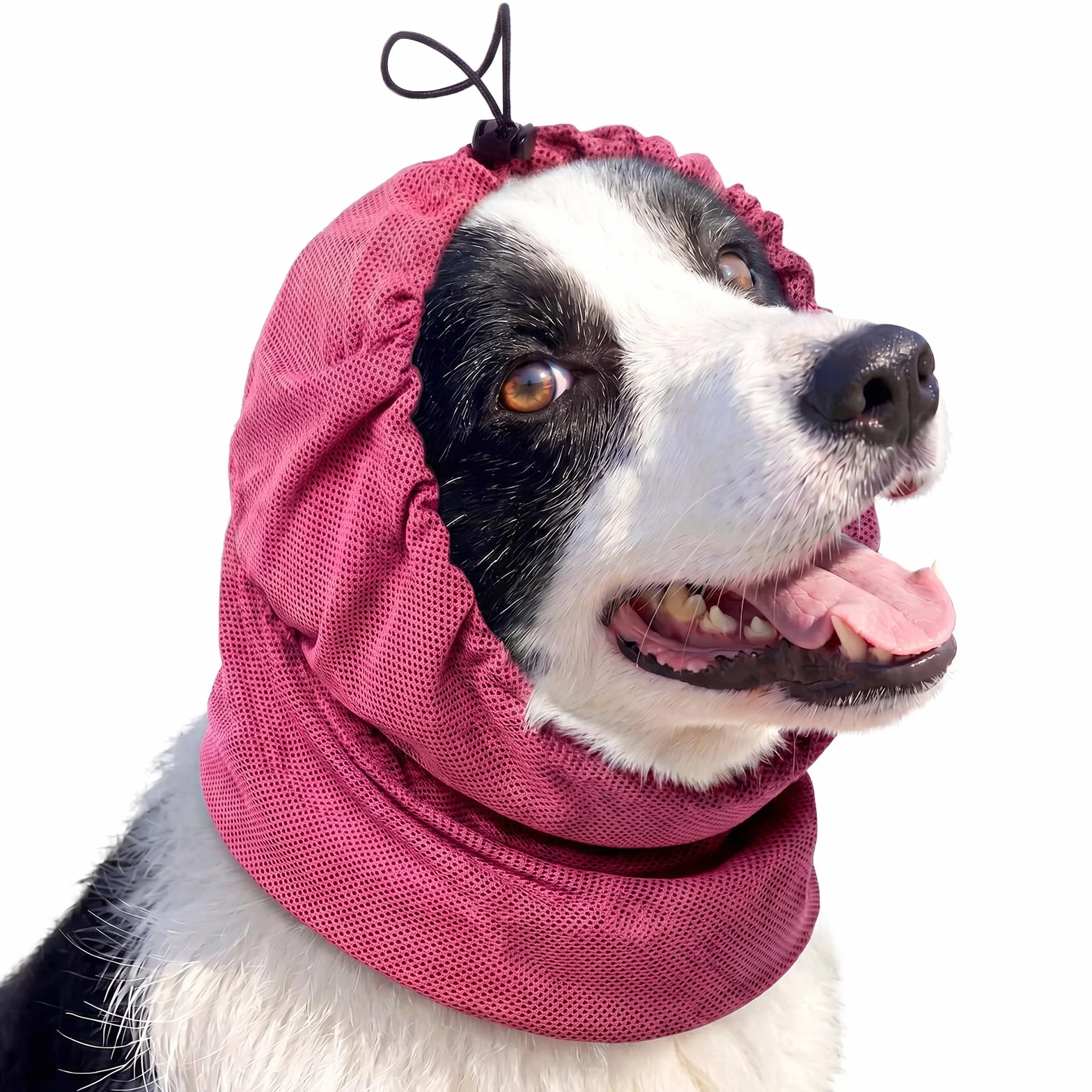 Cache Oreille Chien Snood Ete Empêche Gratter Points Suture Maintient Pansements Oreille Rouge rosé M