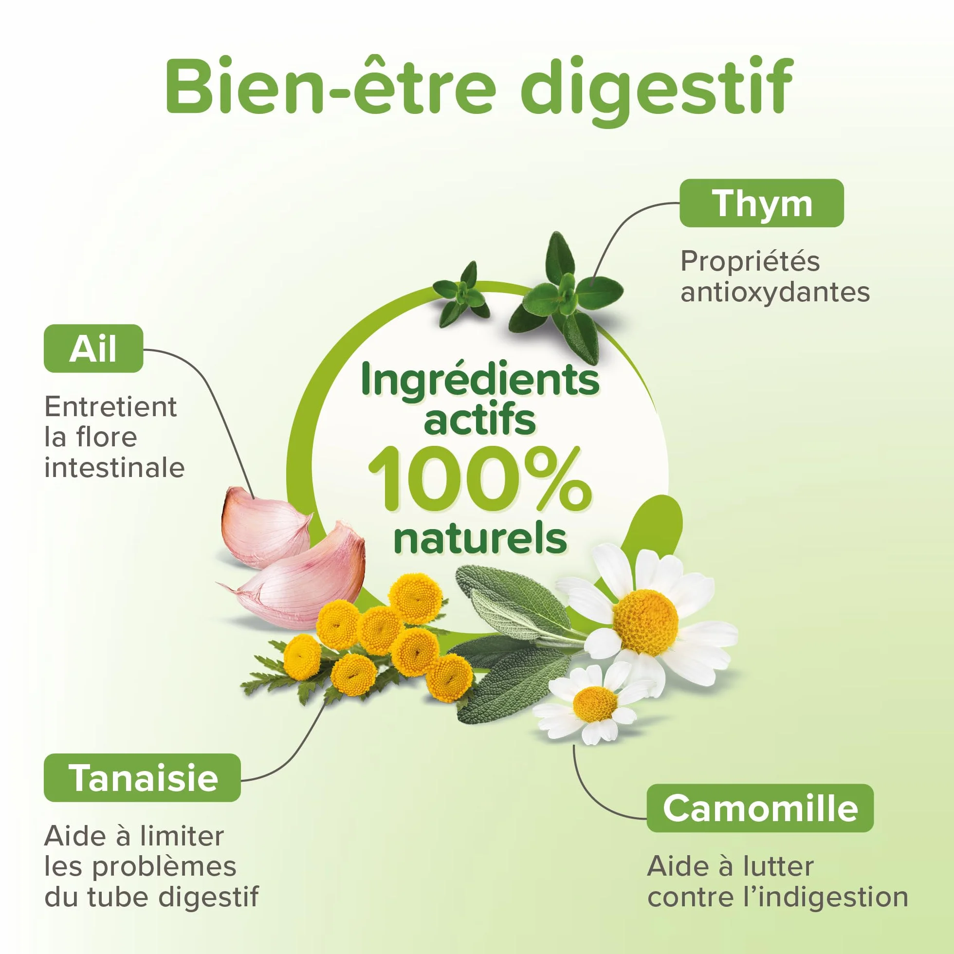 BEAPHAR VERMIPURE Solution liquide pour Chat 50 ml Ingrédients naturels Hygiène digestive