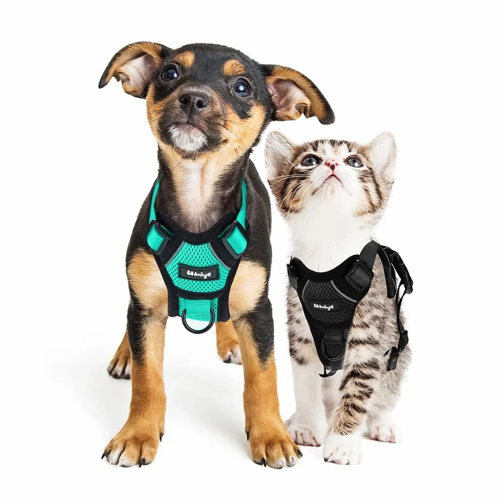 Harnais Réglable Réfléchissant Respirant pour Chien Chaton Lapin Anti-évasion XS Noir