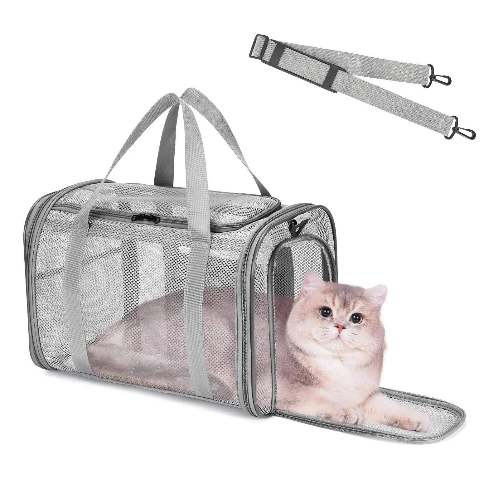 Sac de Transport Chat Chien Respirant Pliable avec Bandoulière Réglable pour Voyage Train Voiture