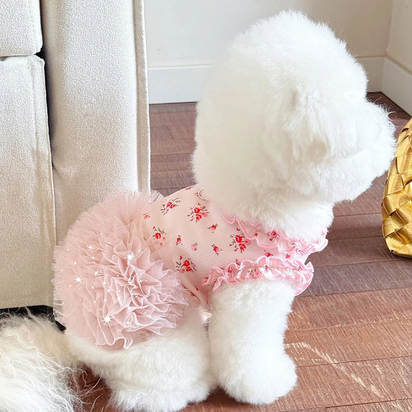 Robe florale avec anneau en D pour petits chiens et chats été intérieur extérieur