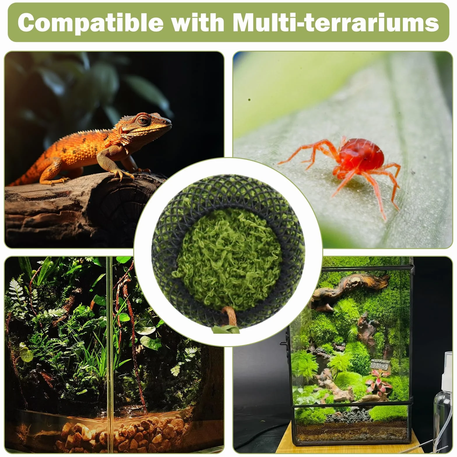 Cachette pour Reptiles avec 2 Aimants Puissants, Abri en Cuir pour Araignées Sauteuses - Décoration Naturelle en Maille pour Terrariums