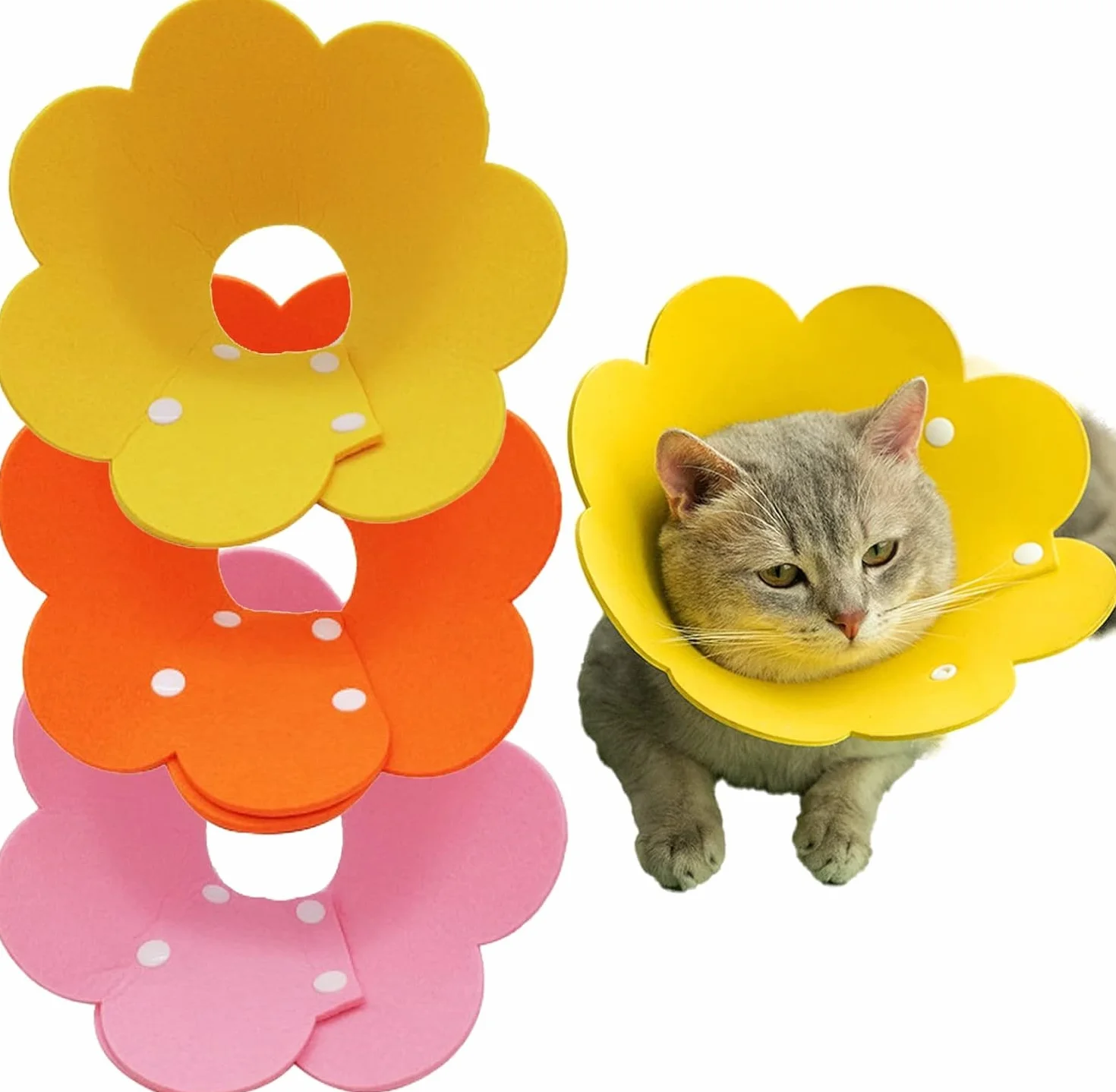 Colliers de protection pour chat anti-morsure Lot de 3 Taille M rose jaune orange