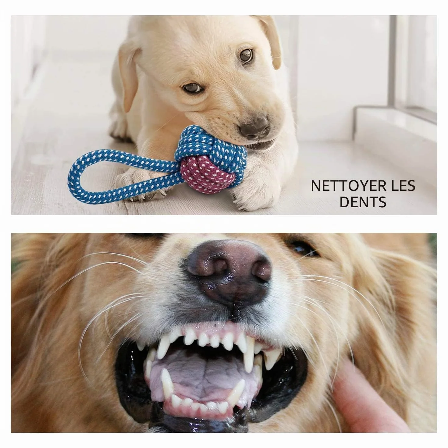 Toozey Jouet pour Chien 7 Jouets Durables Chiots Petits Chiens Peluche Non Toxique Coton Naturel