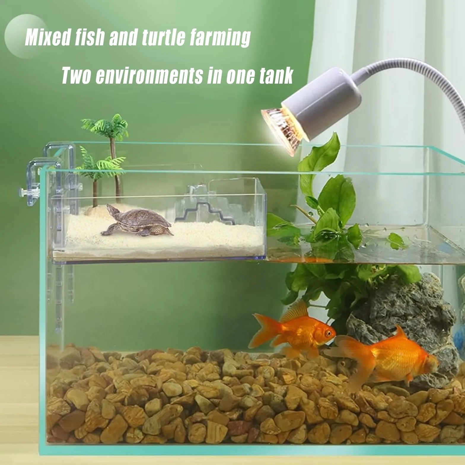 Plate-Forme De Repos Suspendue pour Tortues Aquatique Transparente Réglable Accessoire Aquarium