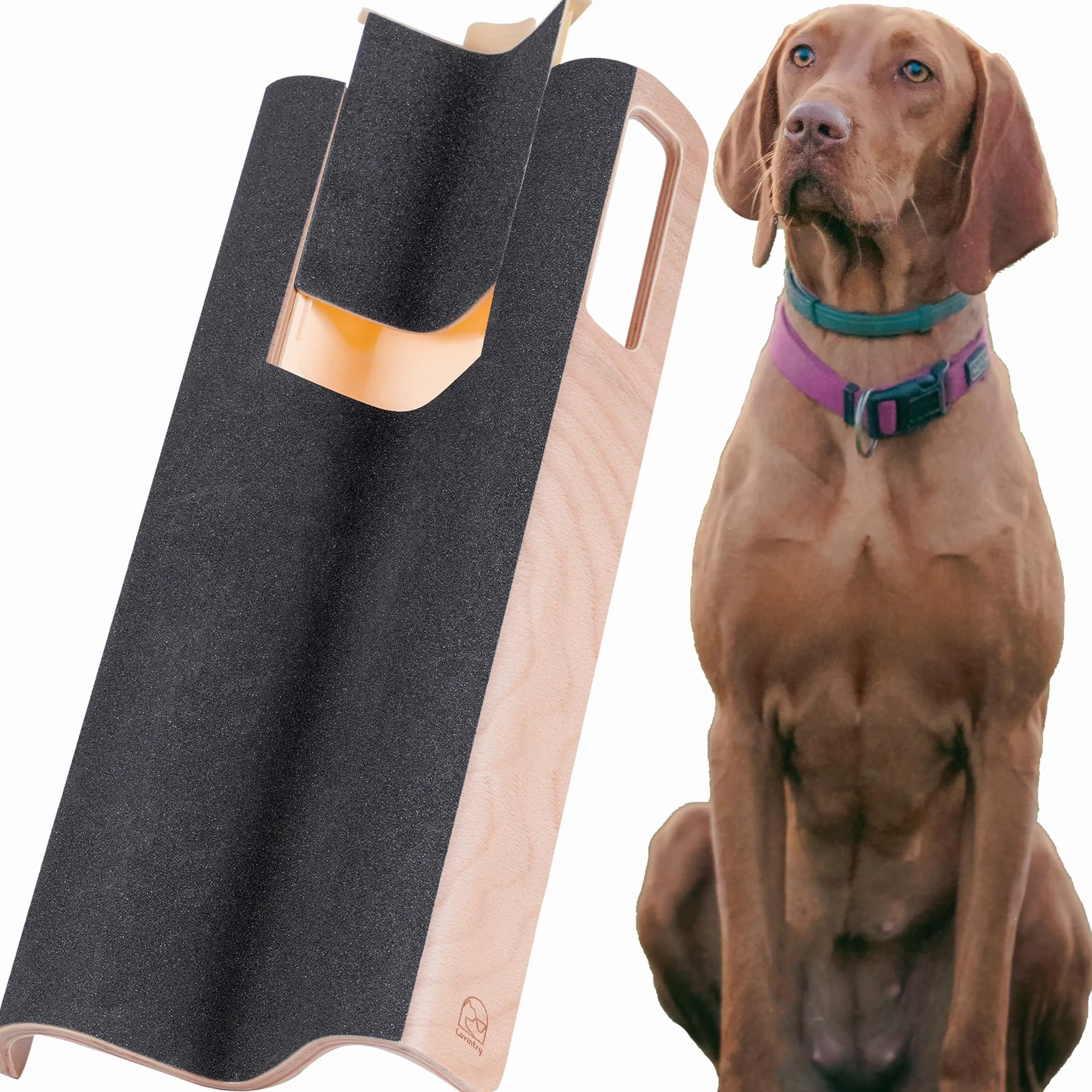 Planche à griffer pour Grands Chiens avec boîte à friandises, Jouet pour Lime à Ongles et raccourcissement des Griffes latérales Plus Facile (XL, avec boîte à friandises)