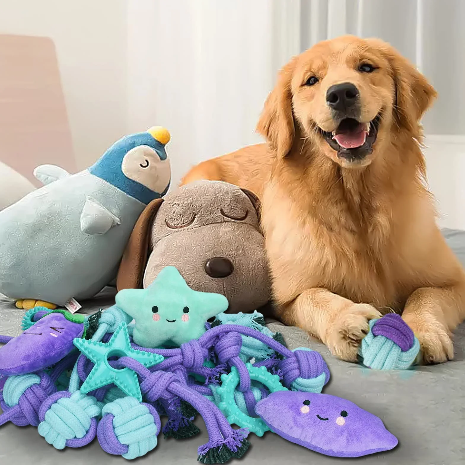Lot de 20 Jouets pour Chiens - Corde Balle Jouet à Mâcher Interactif