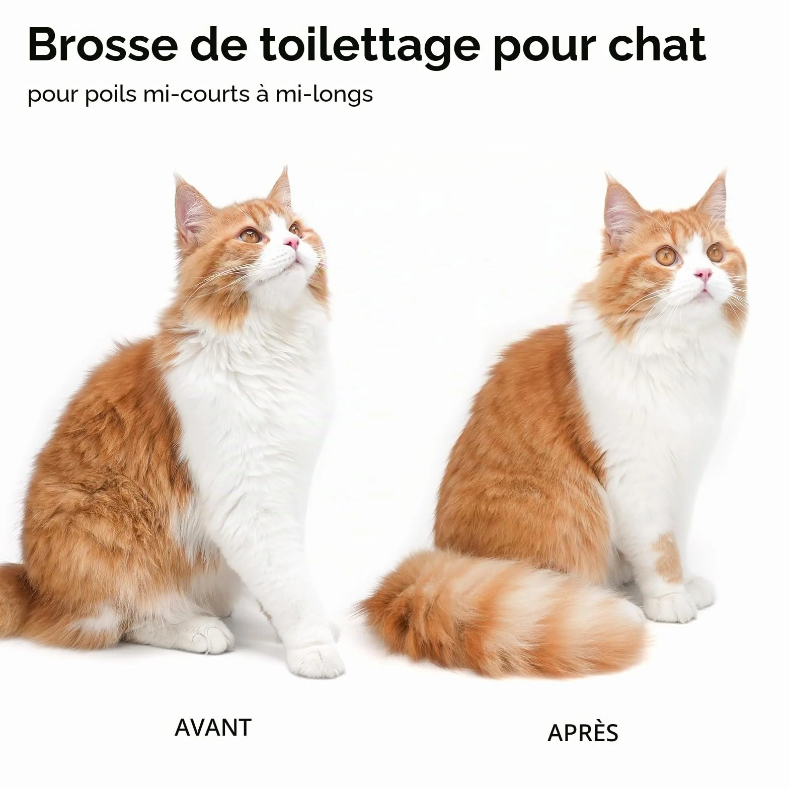 aumuca Brosse Autonettoyante pour Chat Poil Long Court Toilettage Sous-poil Massage