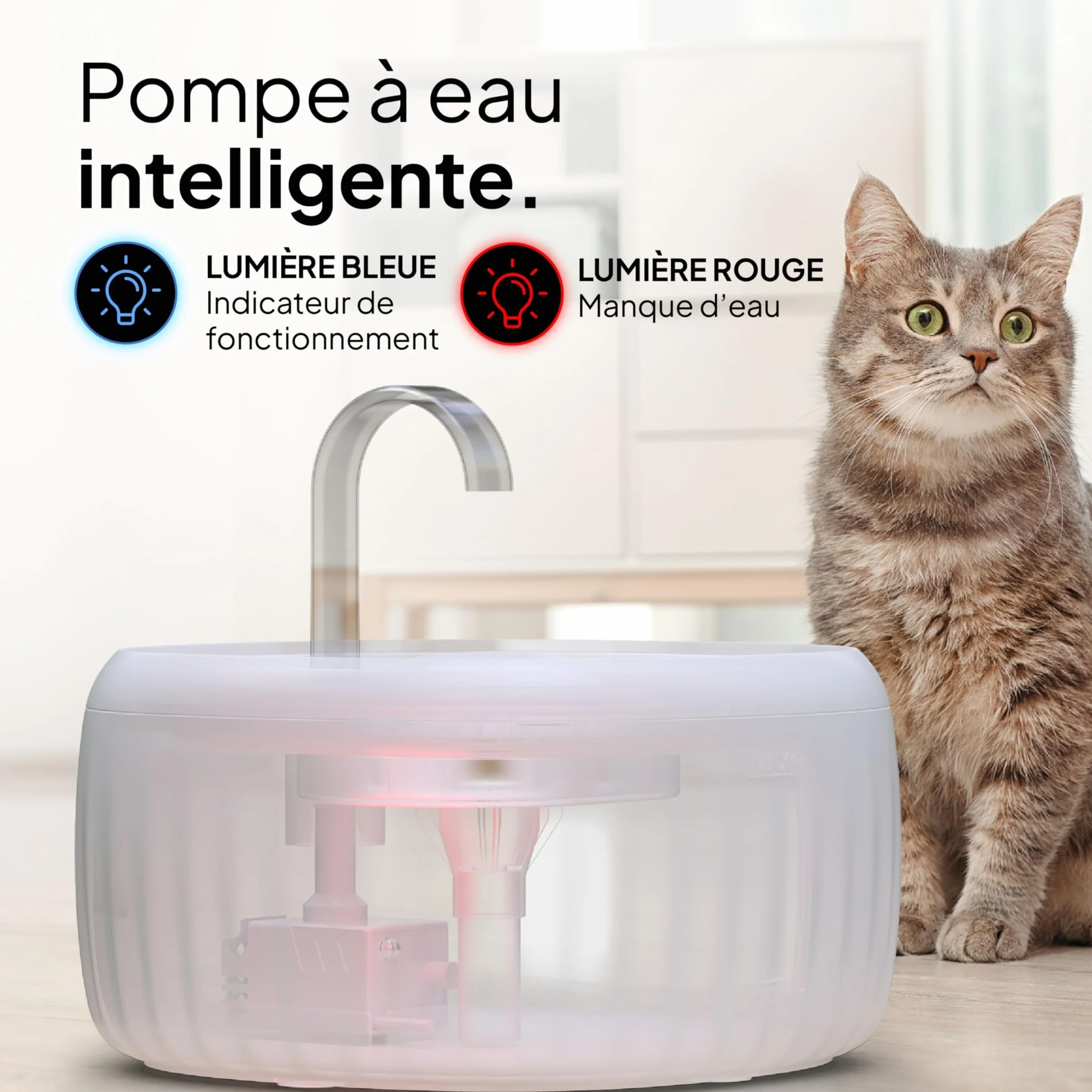 Fontaine à Eau Chat 3L Filtration Charbon Actif Silencieuse Indicateur LED Blanc