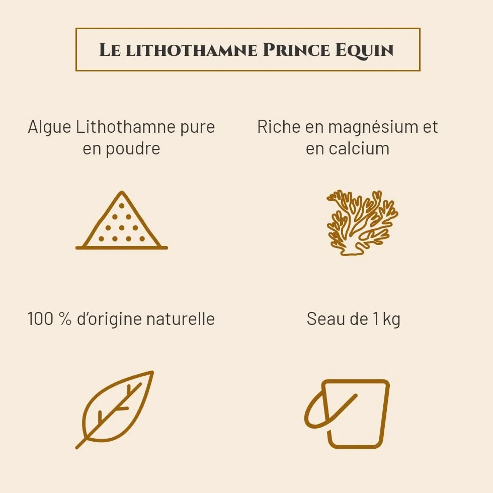 LITHOTHAMNE Complément nutritionnel Cheval Seau 1 kg Calcium Naturel Aide réguler acidité gastrique Reminéralisation