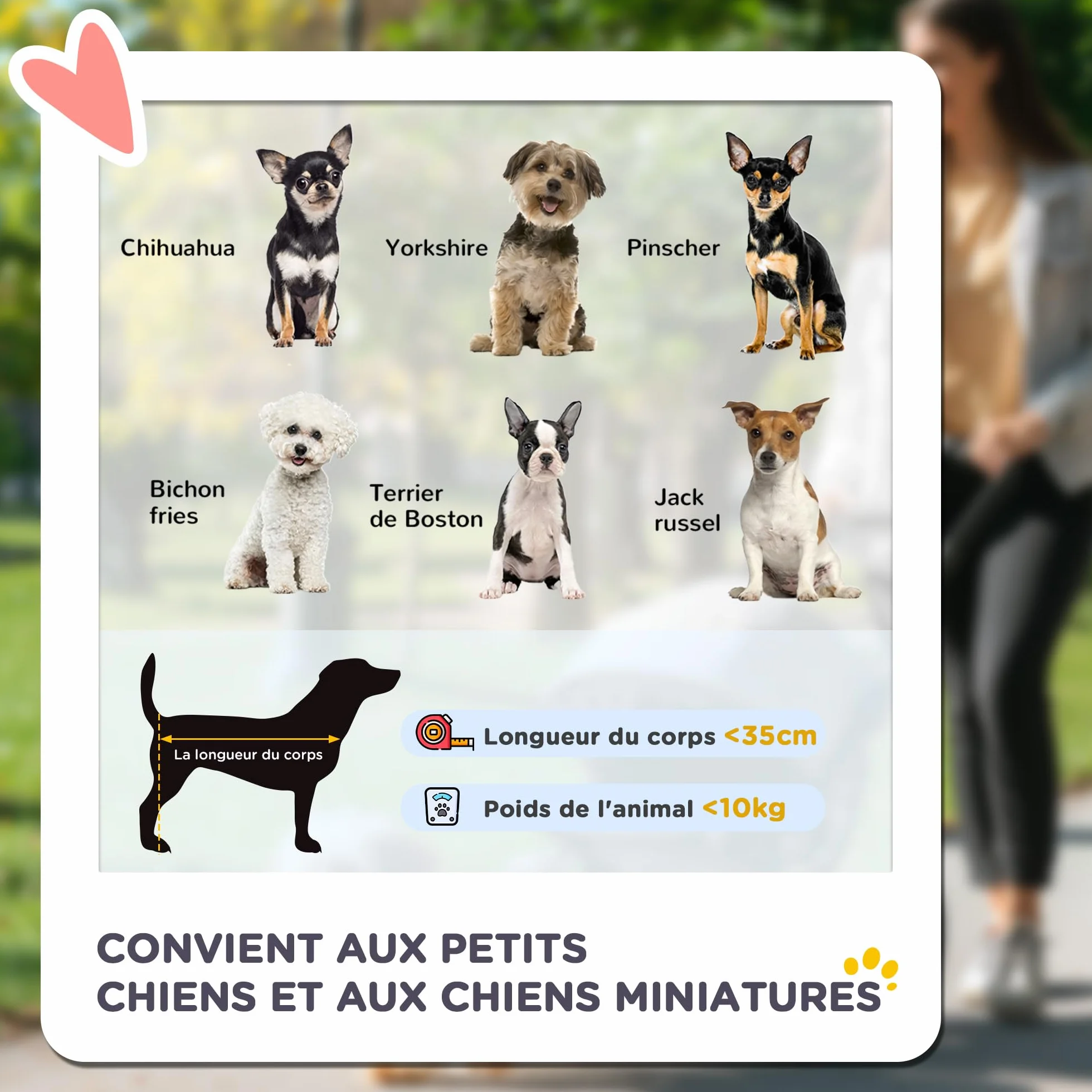 PawHut Poussette buggy pour chiens 77x45x99.5 cm pliable imperméable Oxford 600D gris