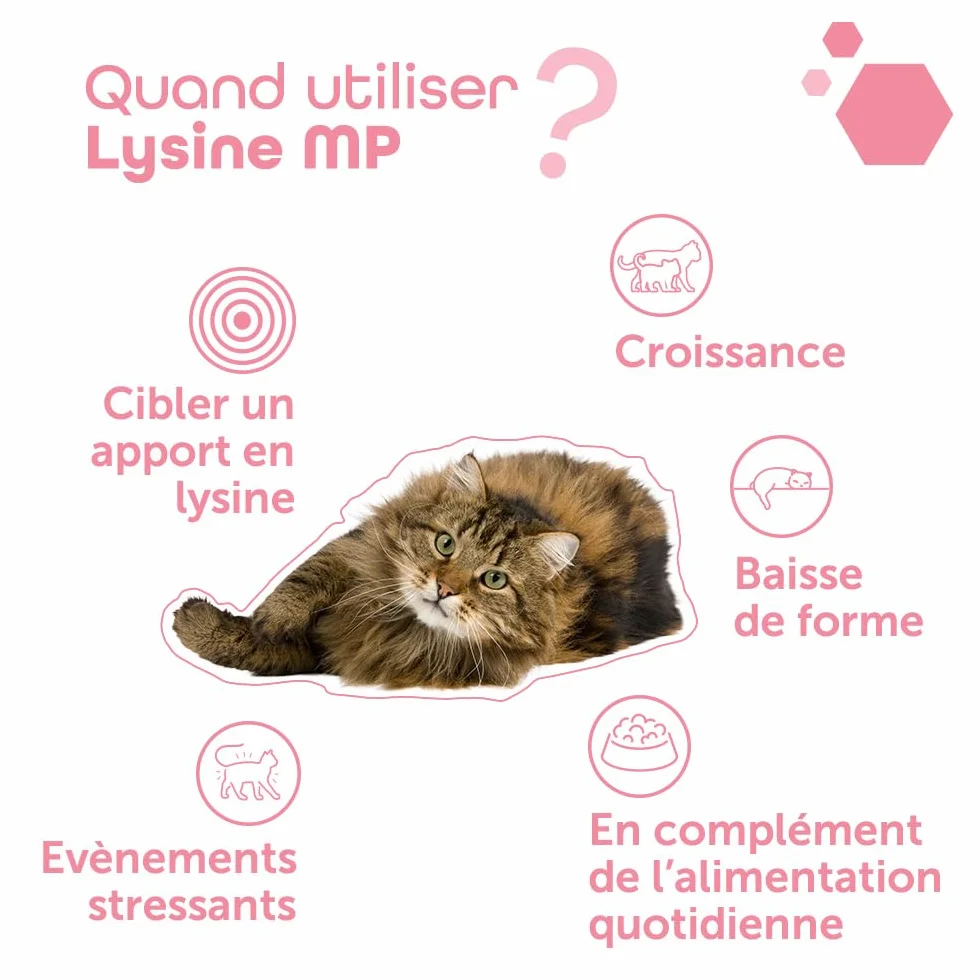 MP Labo Lysine MP 100 Gélules pour Chats et Chatons - Riche en L-Lysine