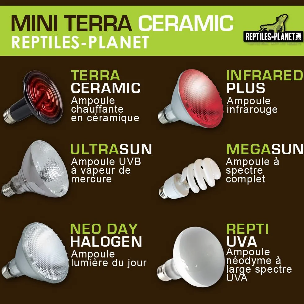 Ampoule Chauffante pour Reptiles Reptiles Planet Mini Terra Ceramic 20 W