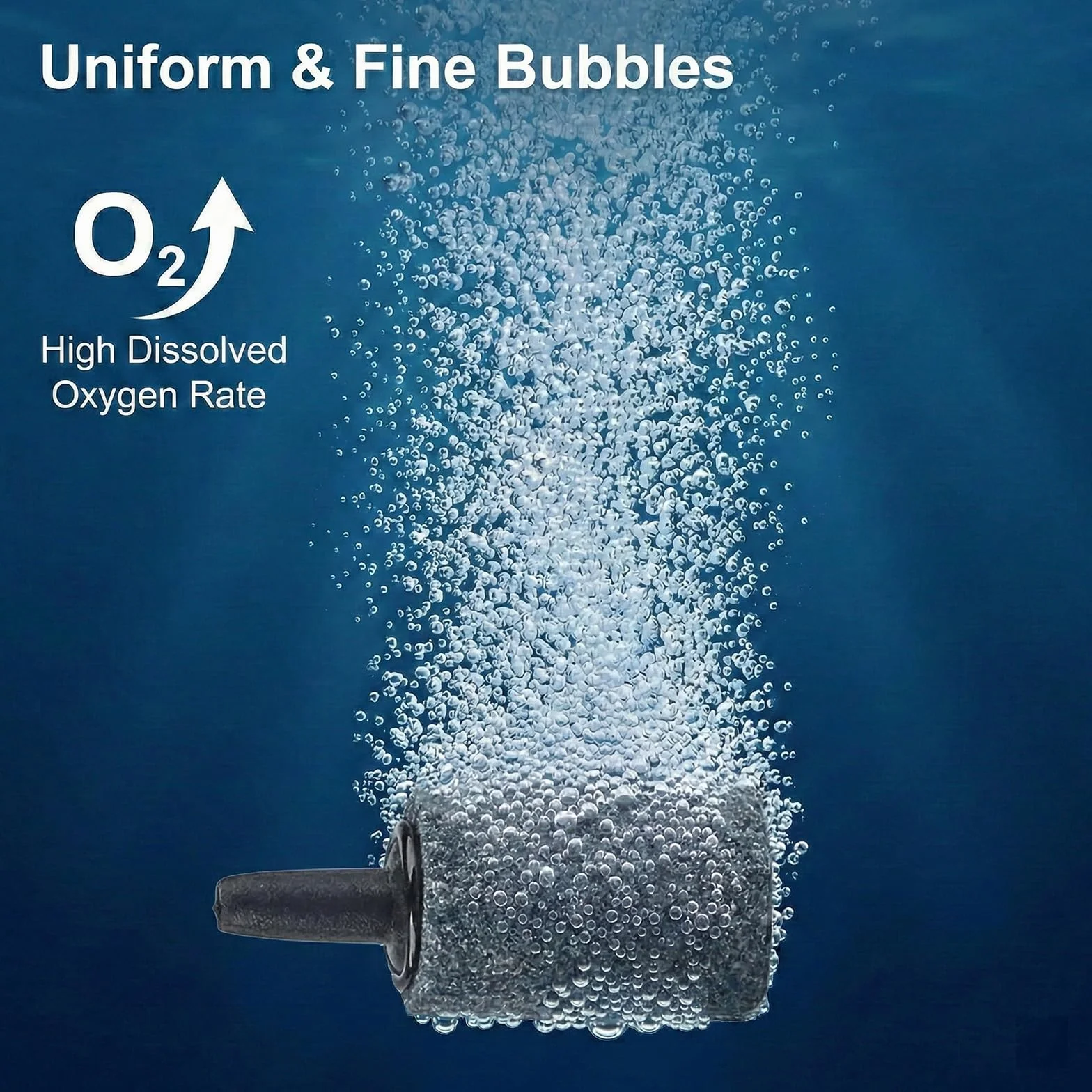 Pierres à air d'aquarium 2,5cm Diffuseur de bulles d'air Diffuseur d'oxygène pour pompes à air nano
