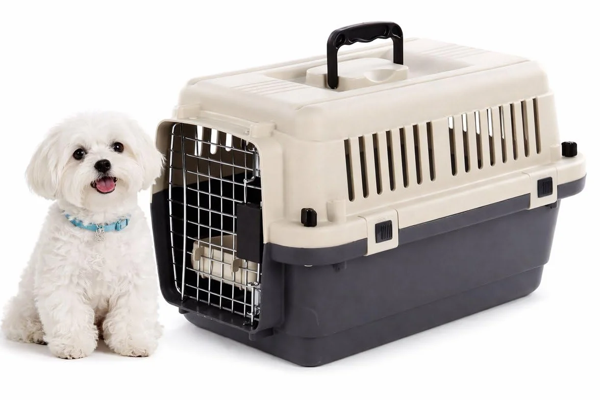 Flamingo Fomad Cage de Transport Chien Gris foncé XS 33x50x33 cm Plastique Robuste
