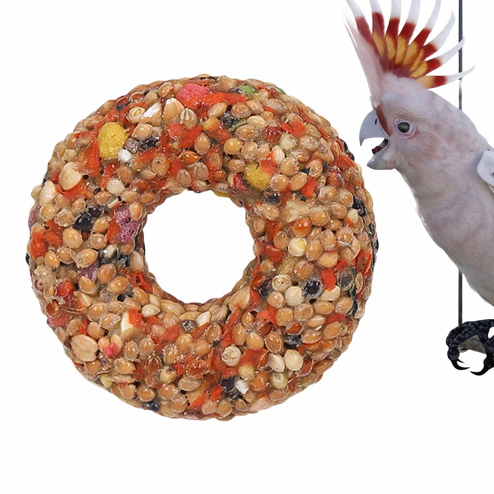 Sticks de gâterie végétariens pour perroquets - Jouets et nourriture pour perruches