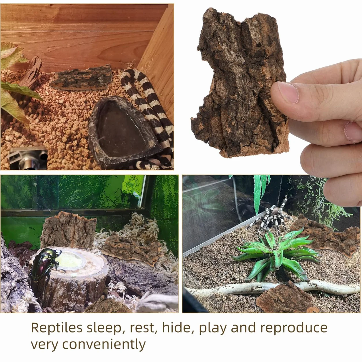 POPETPOP Lot de 10 Décors en Écorce d'arbre pour Terrarium Reptiles Lézards Tortues 3.94x3.54x0.20In