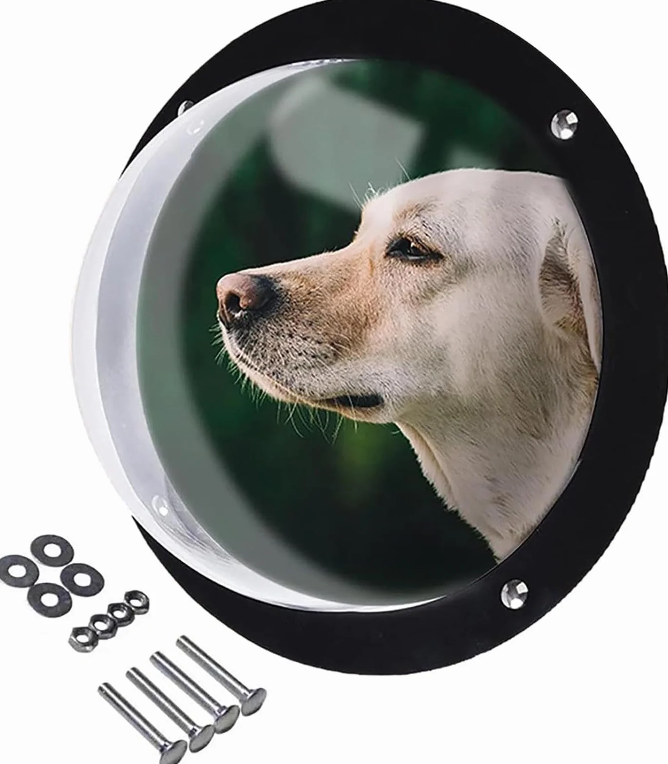 Fenêtre De Clôture Extérieure pour Chien Hublots Visibilité Bulle Judas Animaux