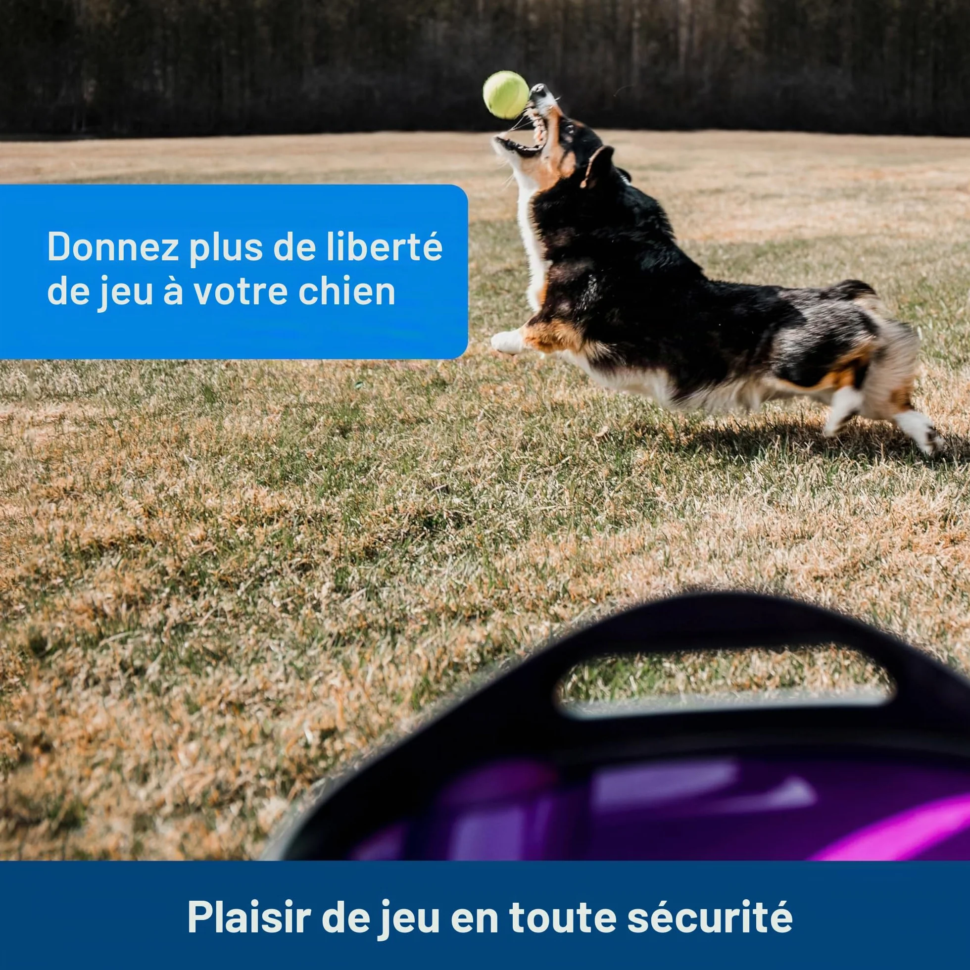 PetSafe Filtre en Mousse de Rechange pour Fontaines Drinkwell 360, Blanc, 2 Unité